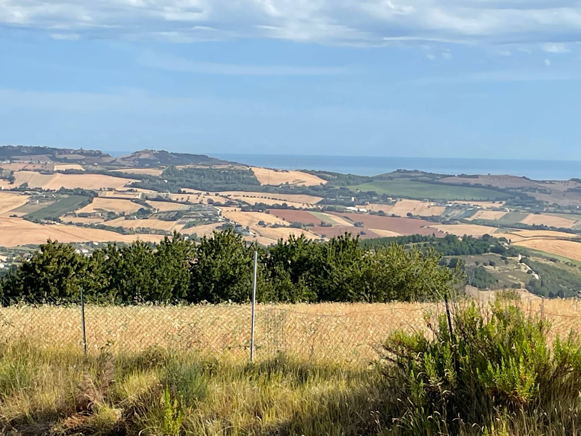 Terreno Agricolo in vendita a Lapedona