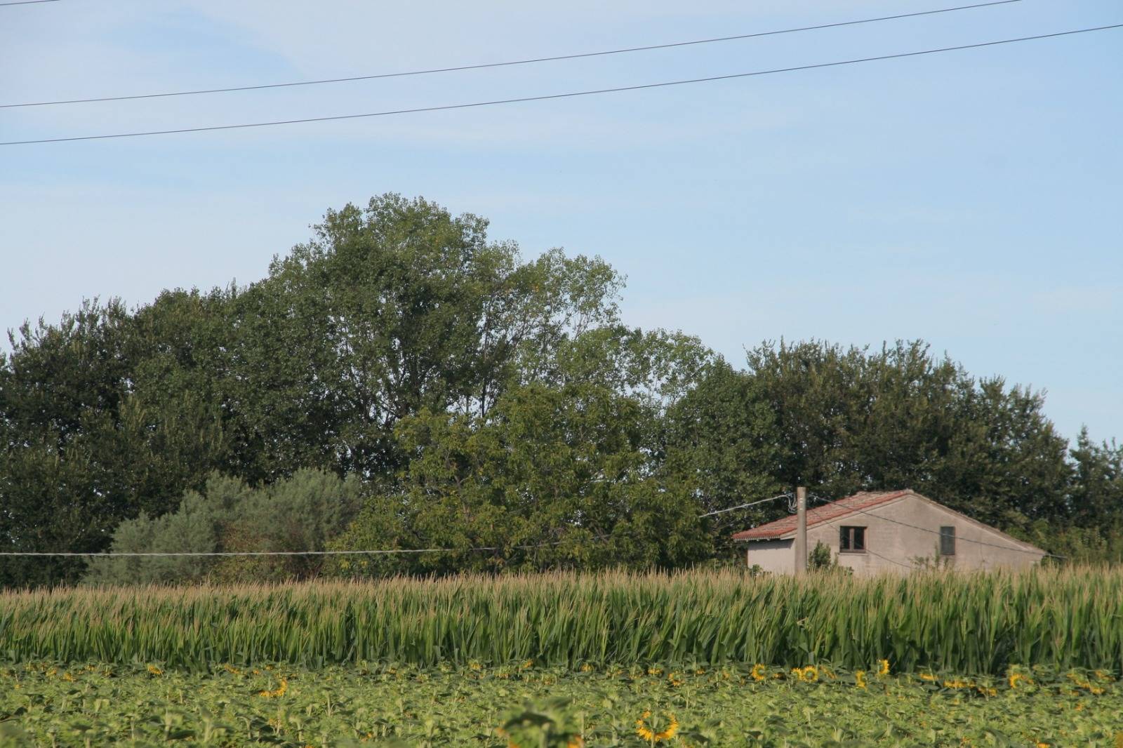 Casa singola in vendita a Sant'Elpidio a Mare