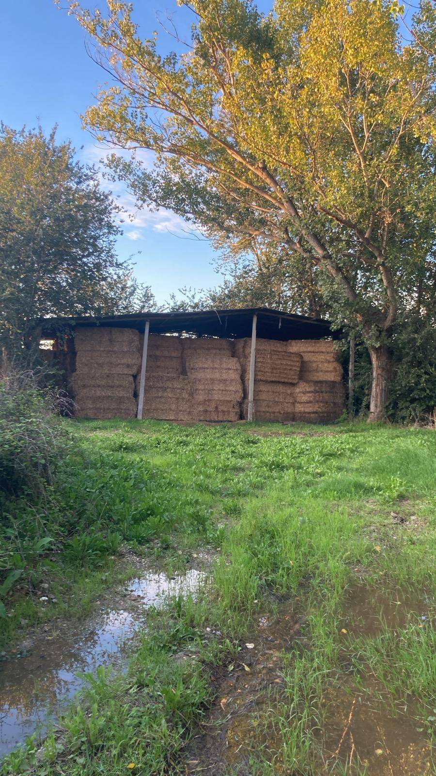 Casa singola in vendita a Sant'Elpidio a Mare
