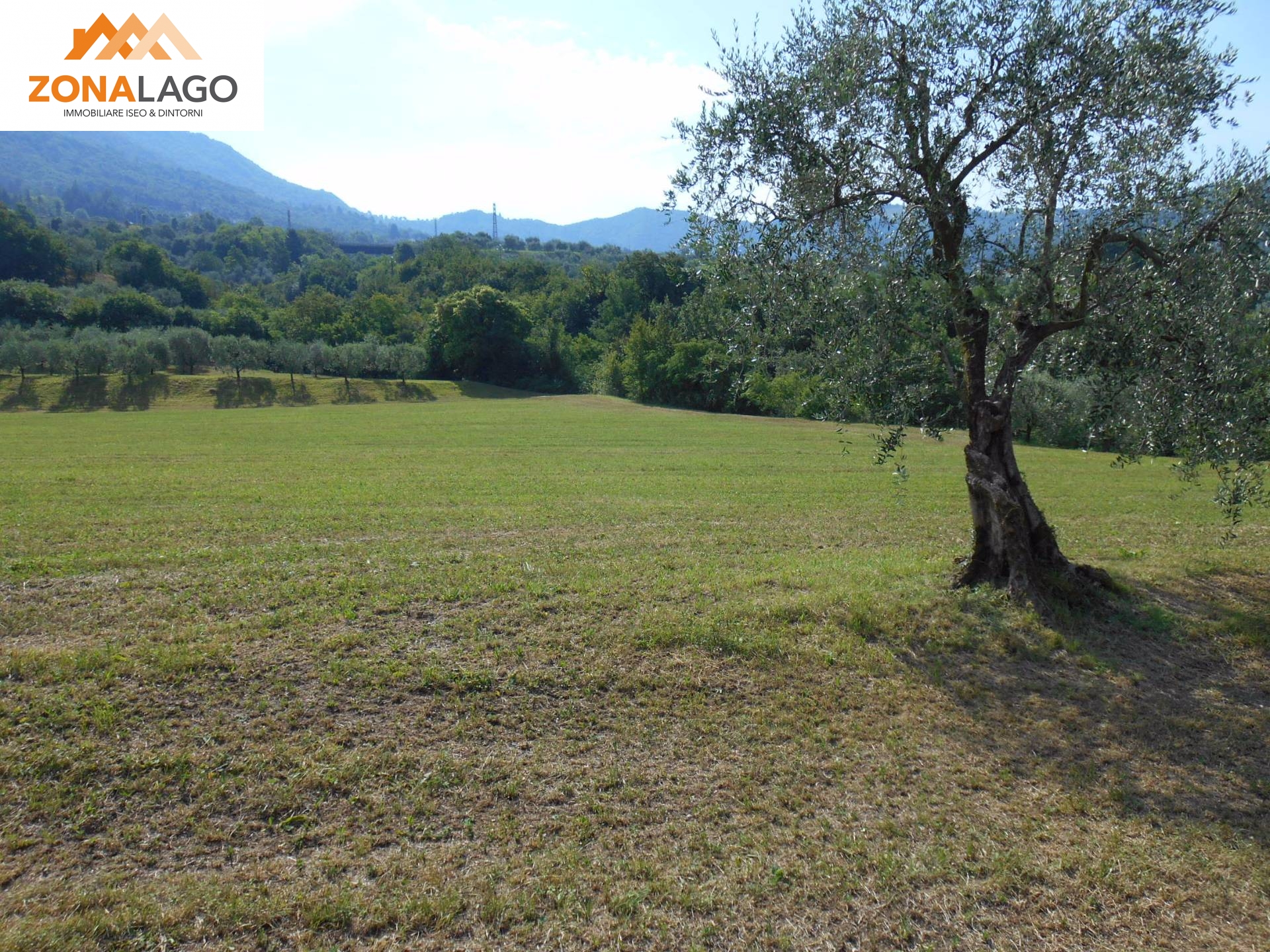 Terreno Agricolo in vendita a Sulzano