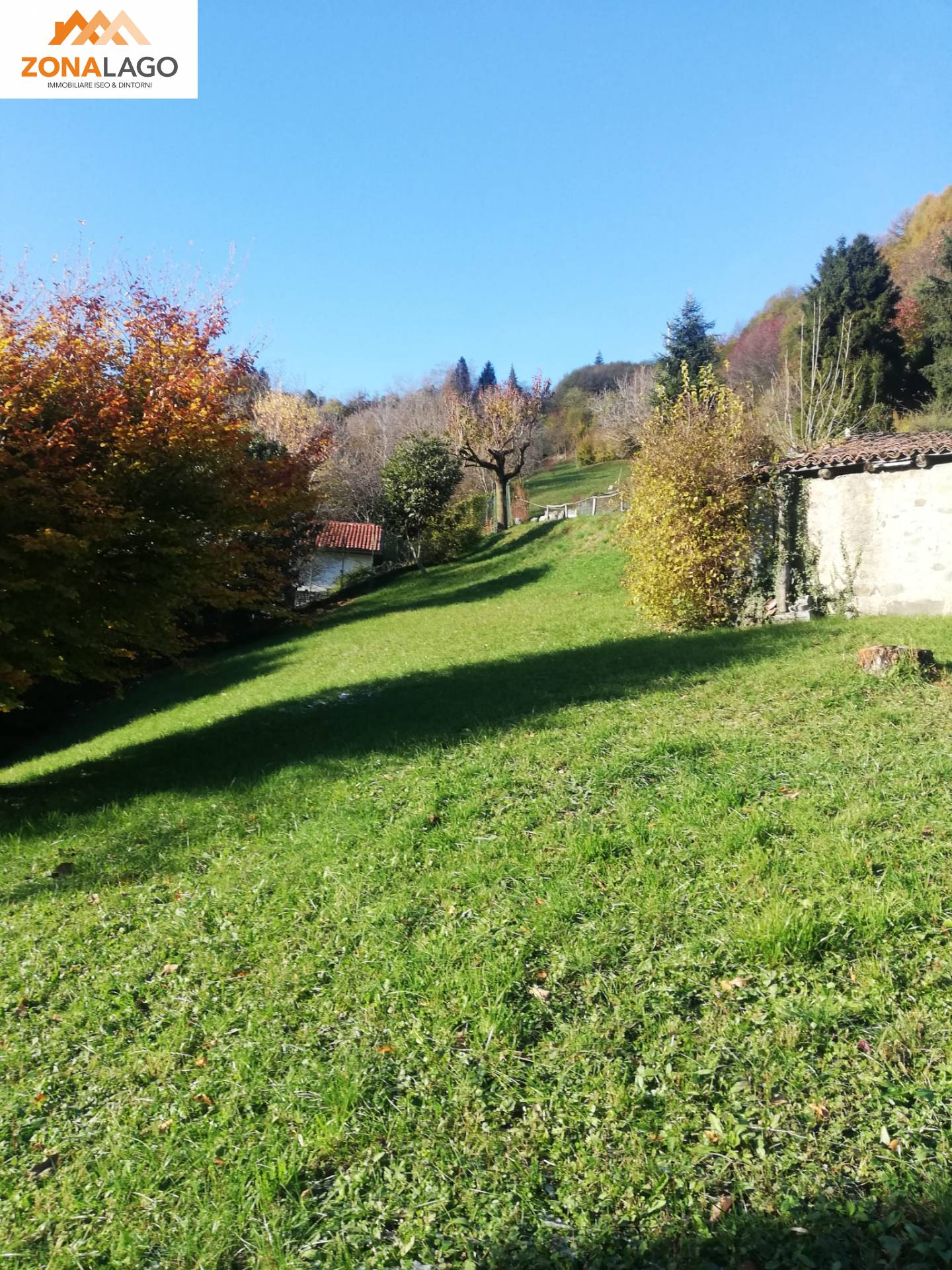 immagine annuncio 4 di 7
