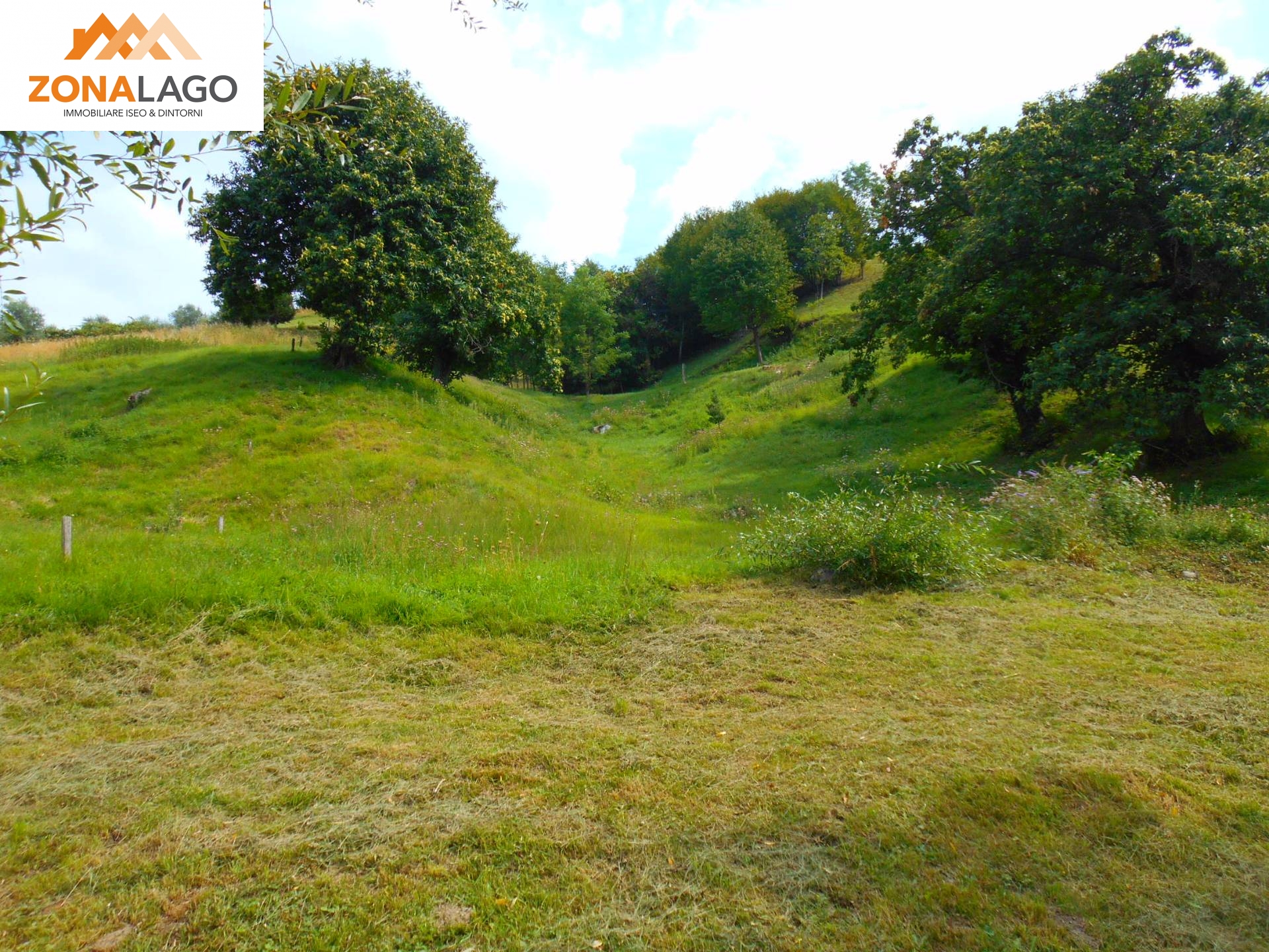 Terreno Agricolo in vendita a Sulzano