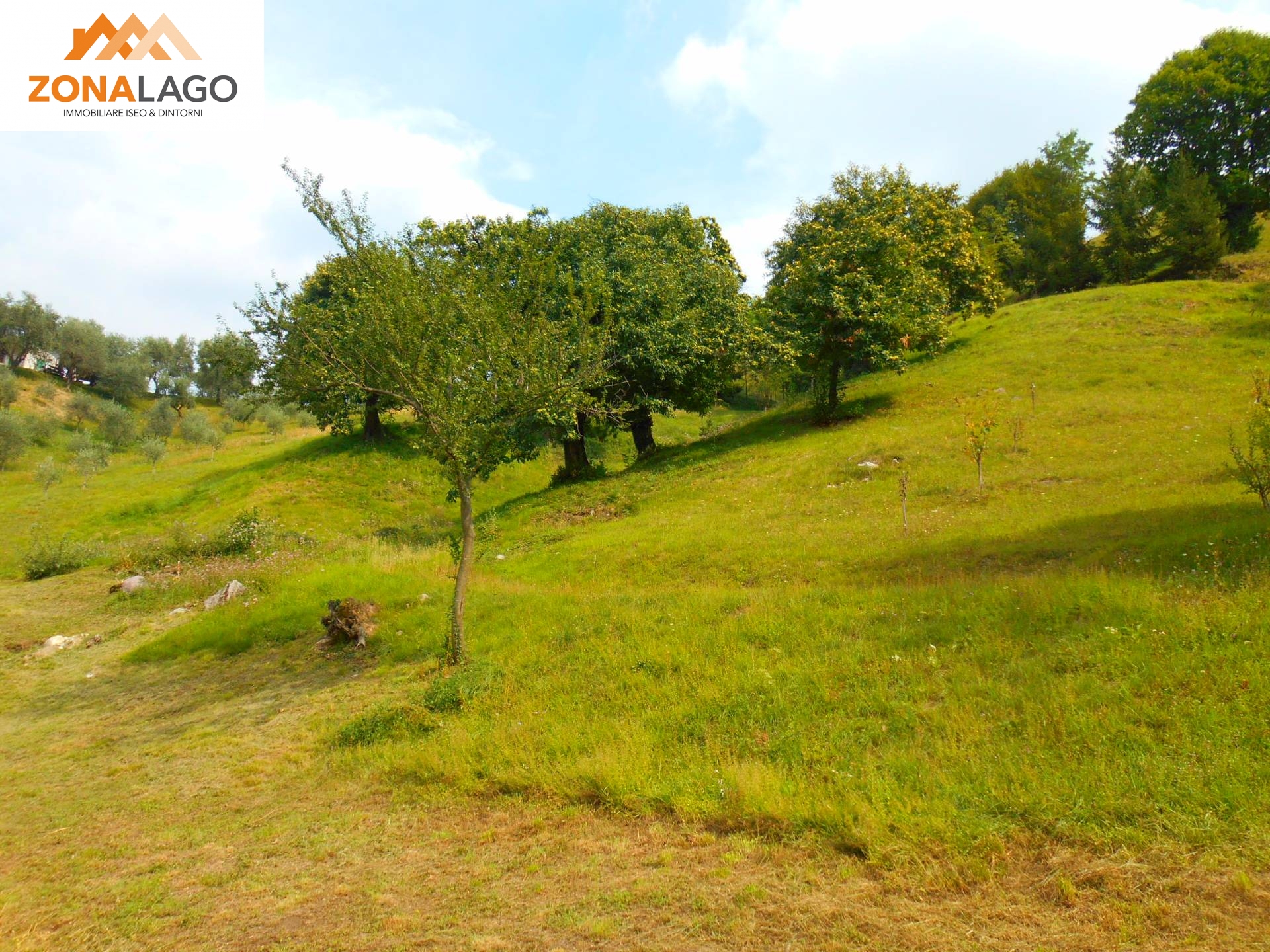 Terreno Agricolo in vendita a Sulzano