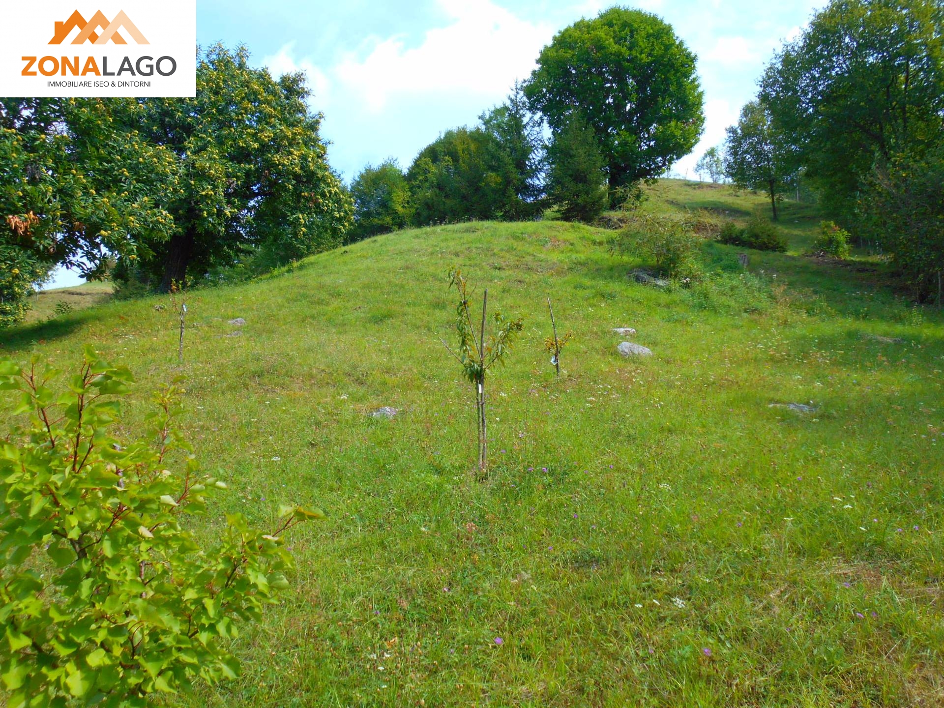 Terreno Agricolo in vendita a Sulzano