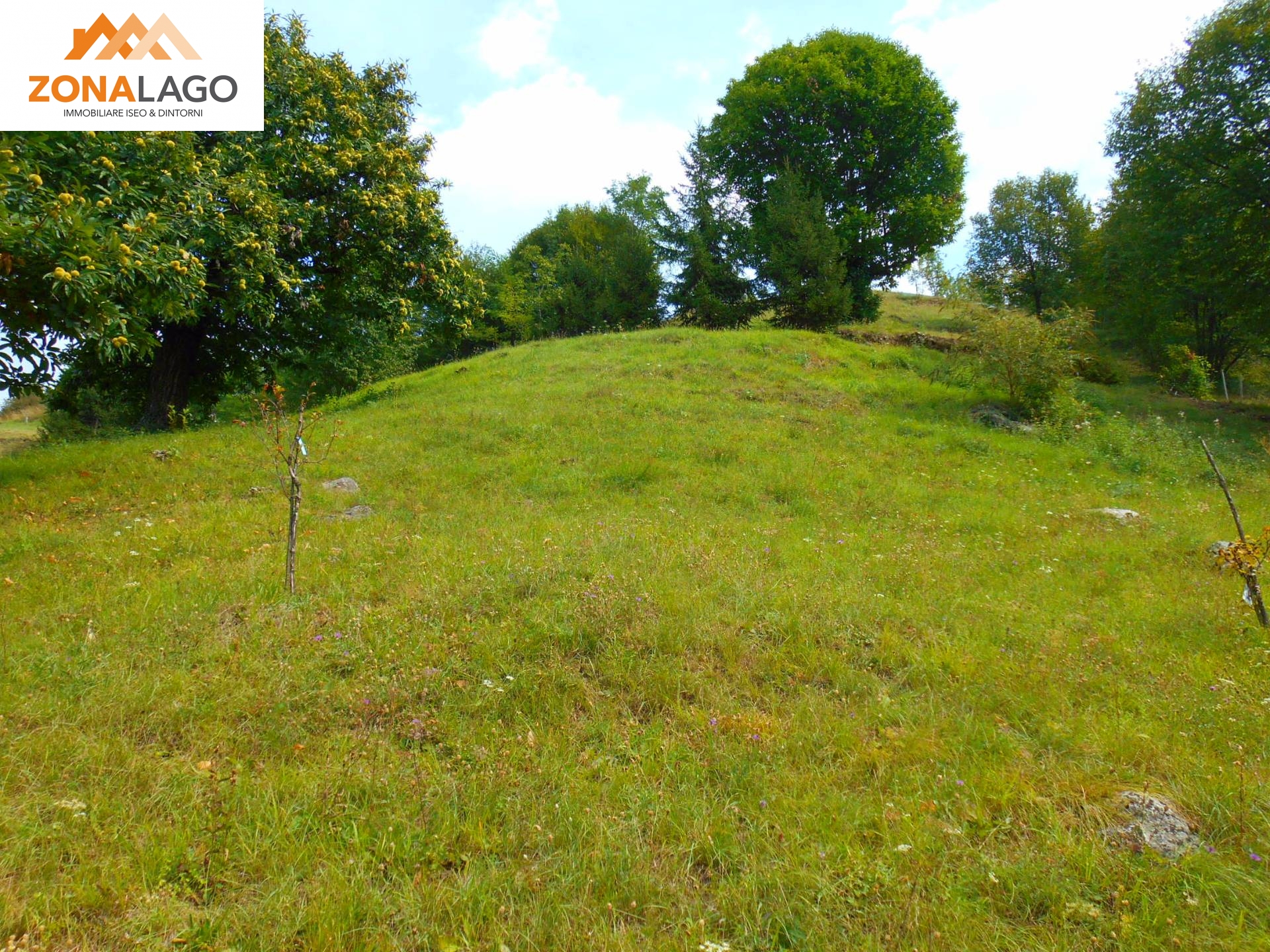 Terreno Agricolo in vendita a Sulzano