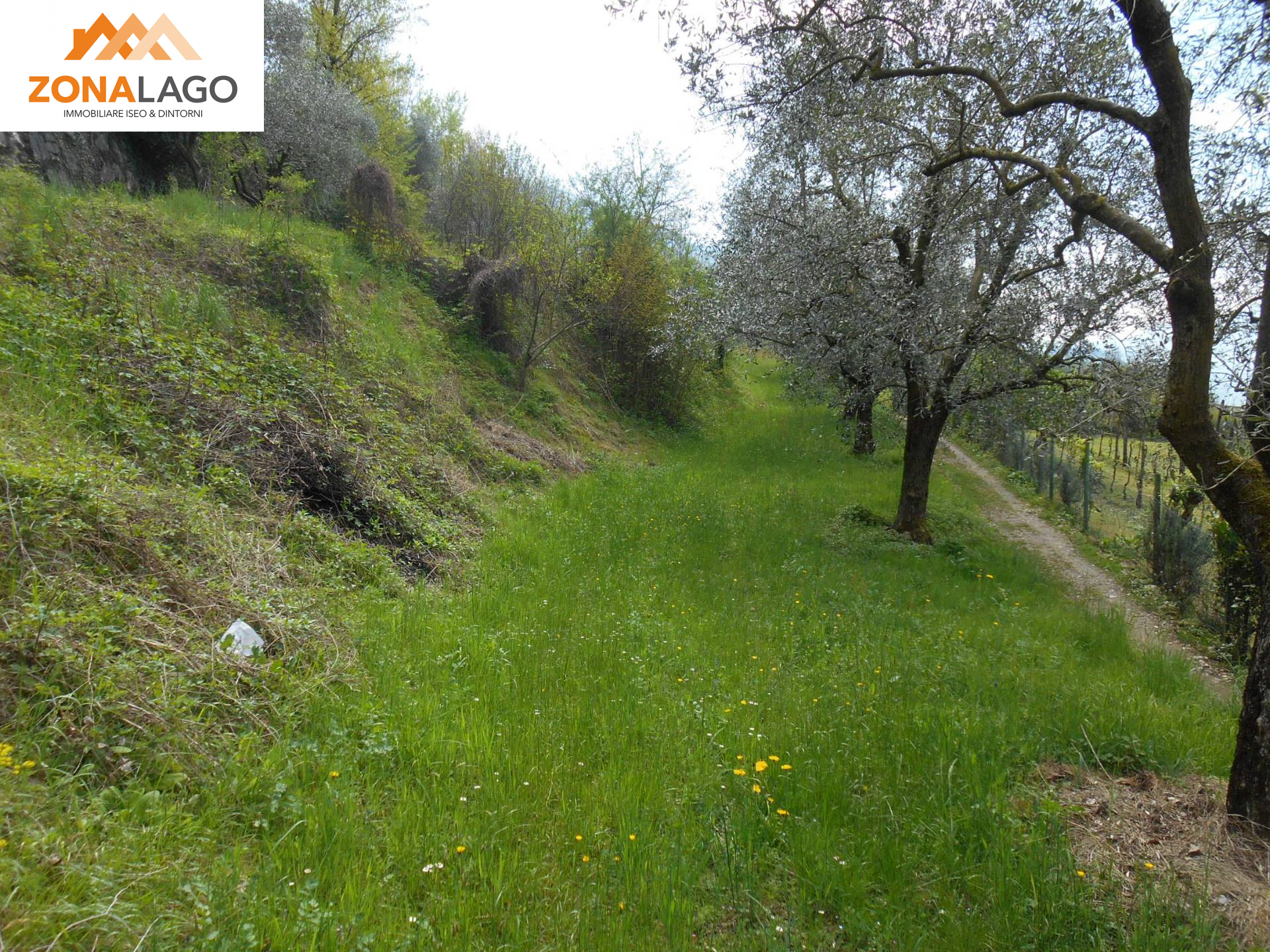 TERRENO CON RUSTICO in vendita a Sale Marasino