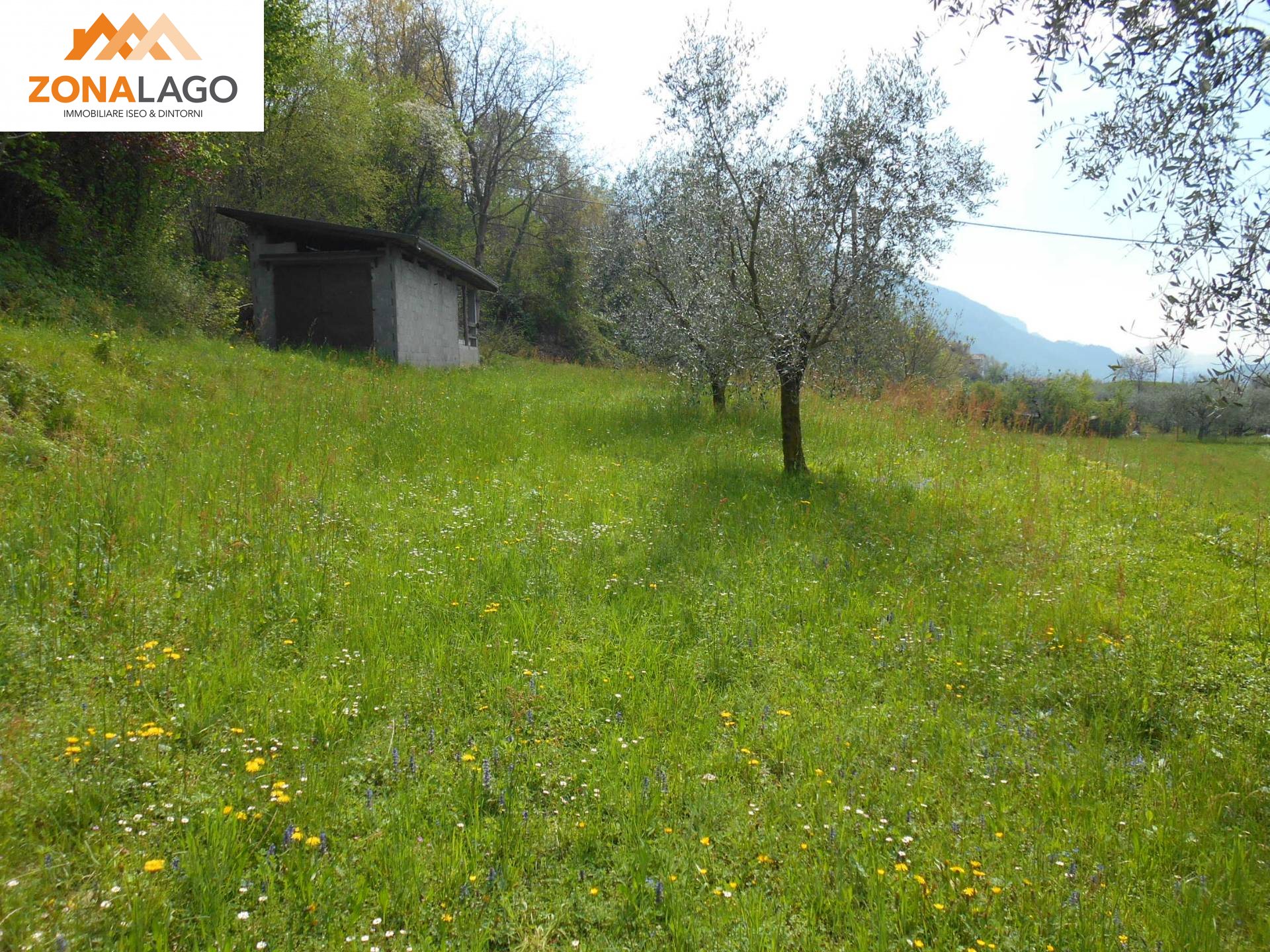 TERRENO CON RUSTICO in vendita a Sale Marasino