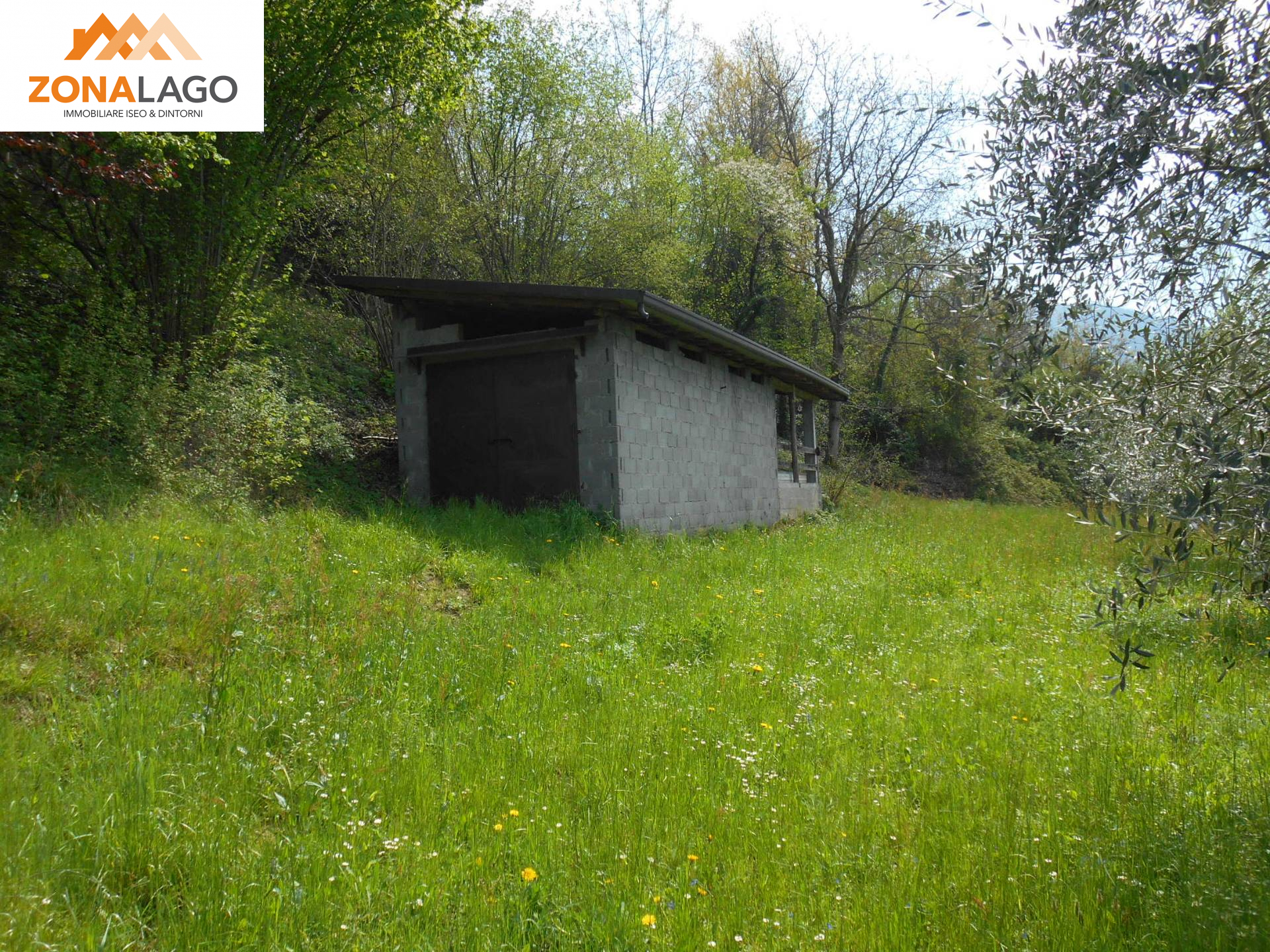 TERRENO CON RUSTICO in vendita a Sale Marasino