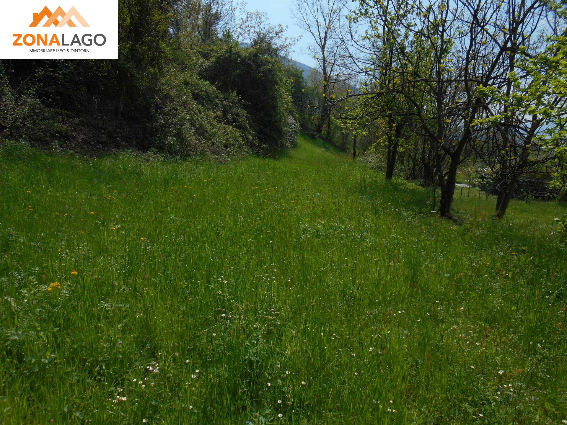 TERRENO CON RUSTICO in vendita a Sale Marasino