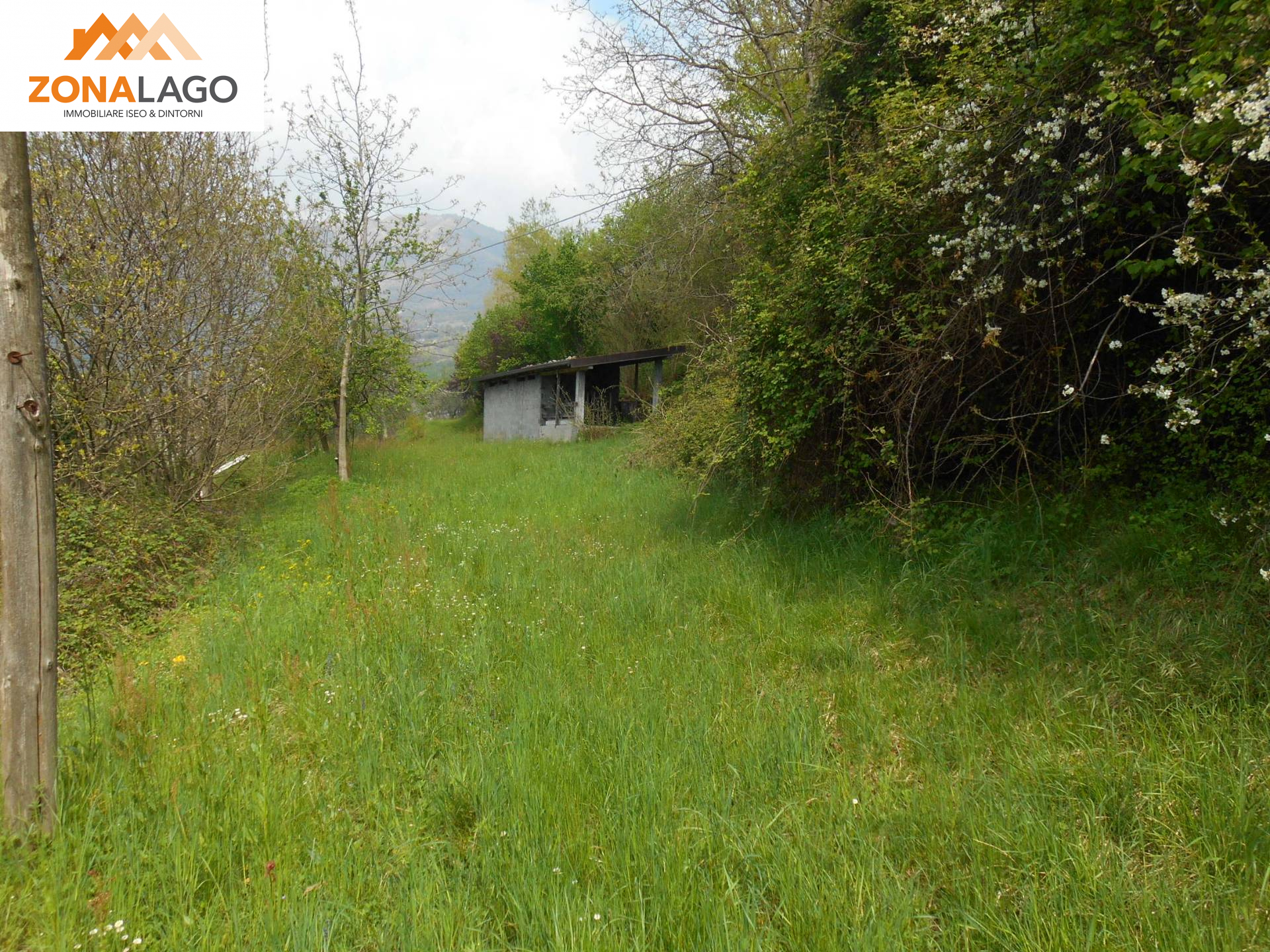 TERRENO CON RUSTICO in vendita a Sale Marasino