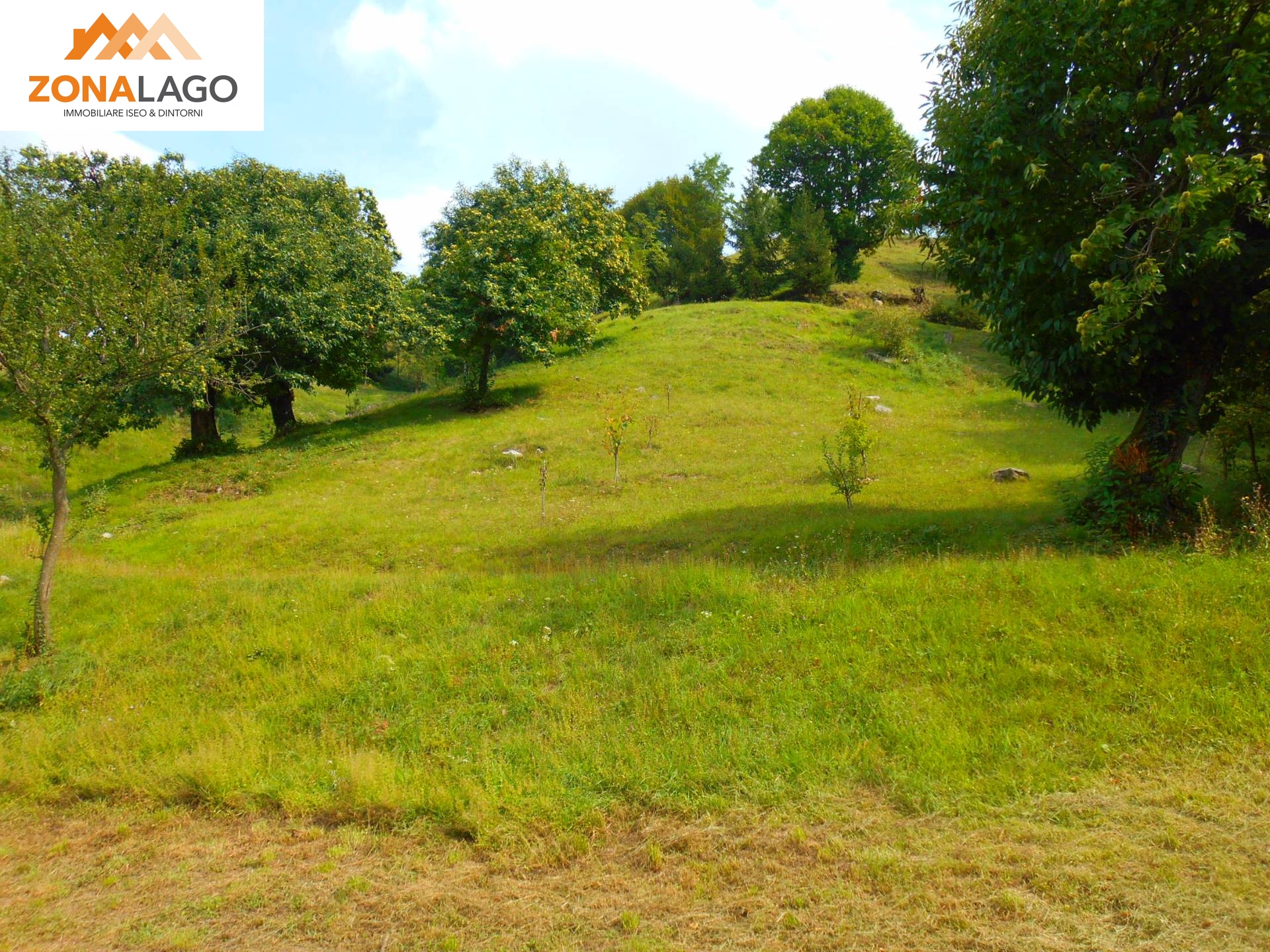 Terreno Agricolo in vendita a Sulzano