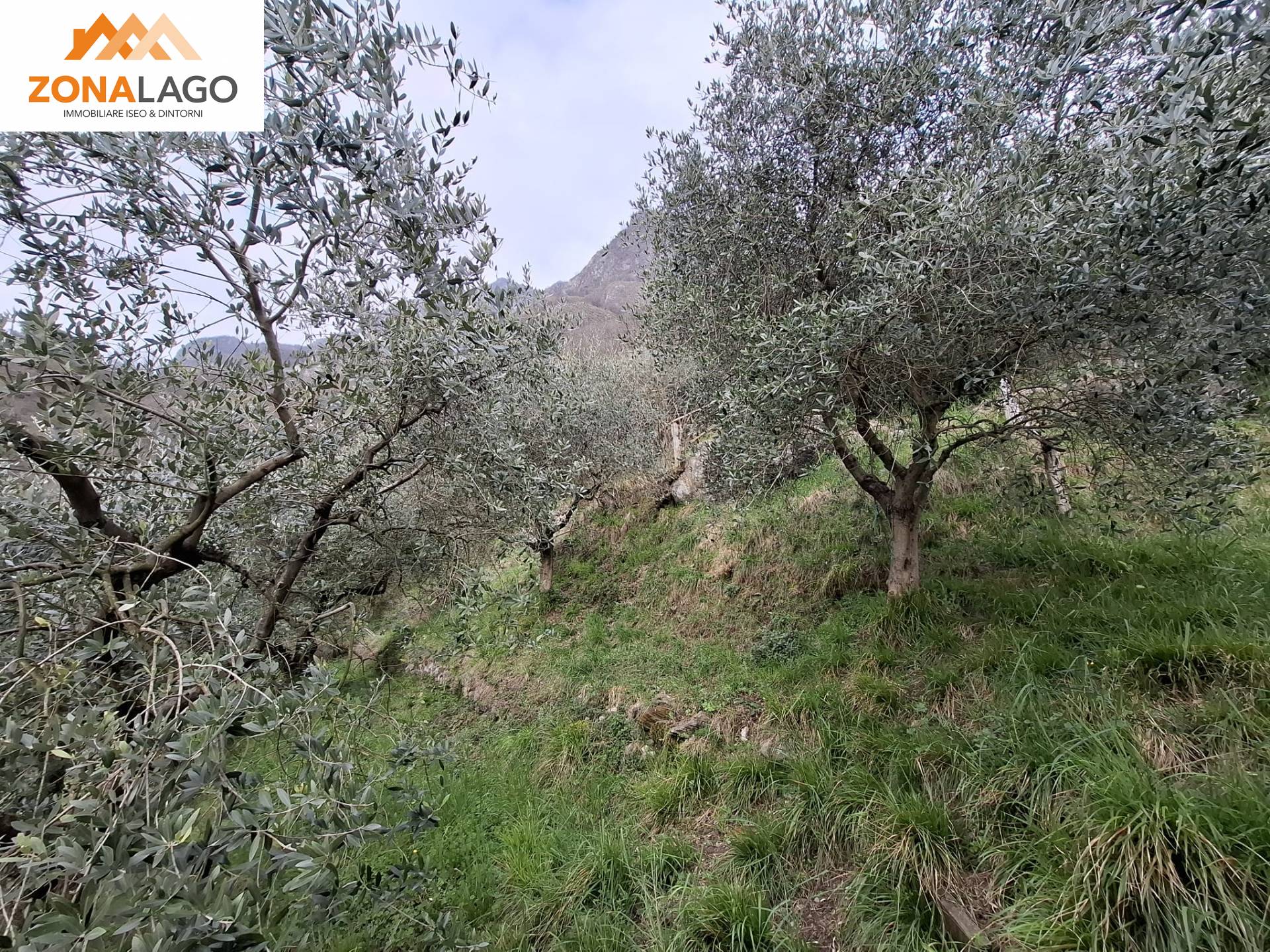 Terreno Agricolo in vendita a Marone, Vello
