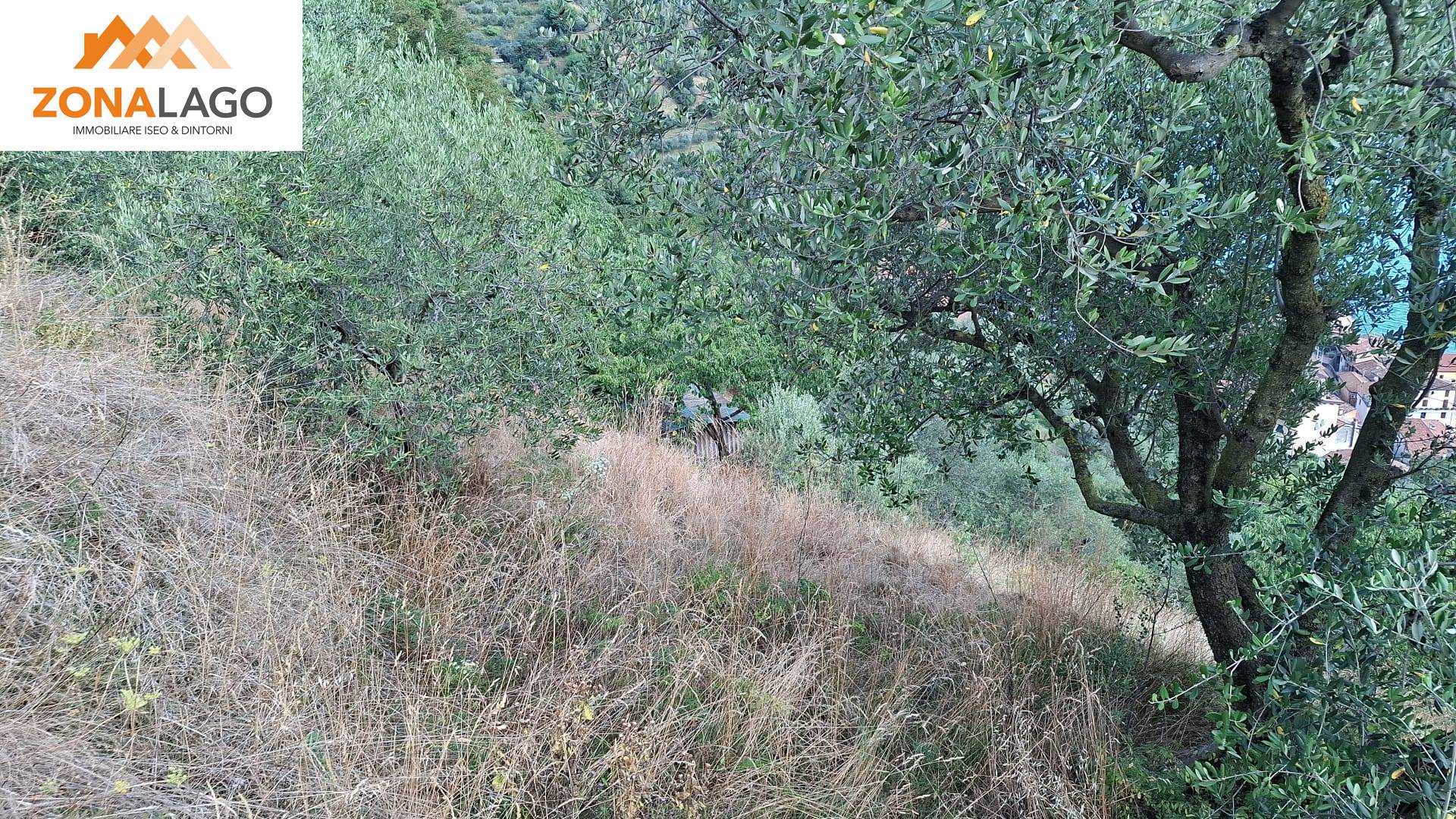 Terreno Agricolo in vendita a Marone, Vello