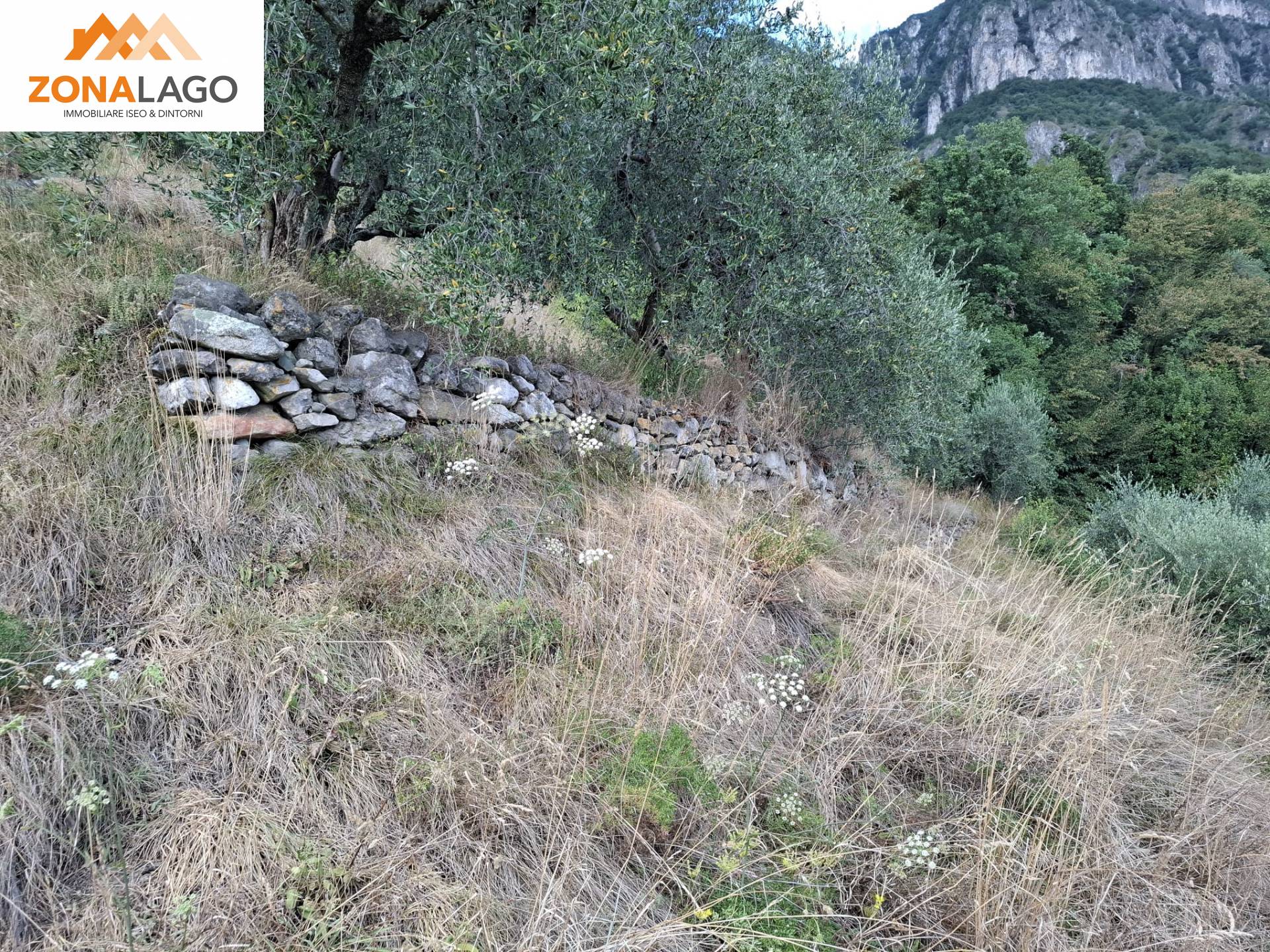 Terreno Agricolo in vendita a Marone, Vello