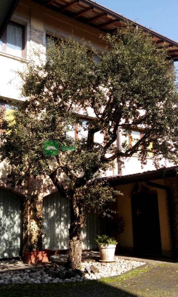 Cascinale in vendita a Mapello