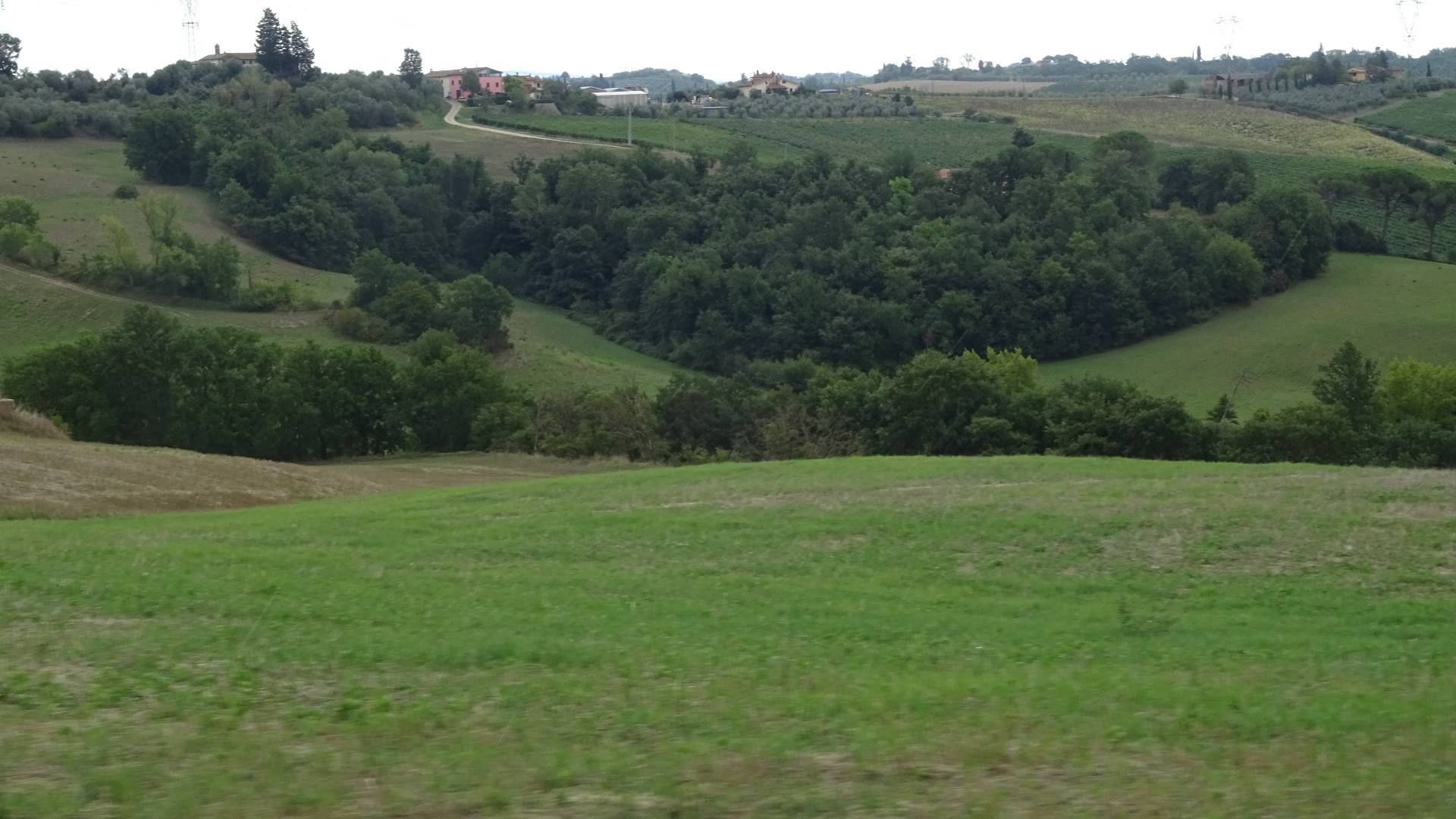 Terreno in vendita a Montespertoli