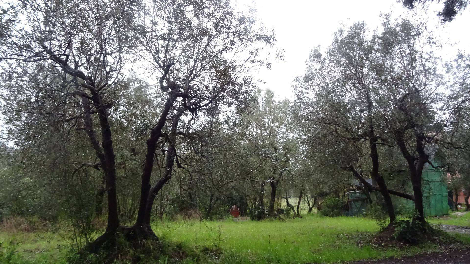 Appartamento in Colonica in vendita a Montespertoli