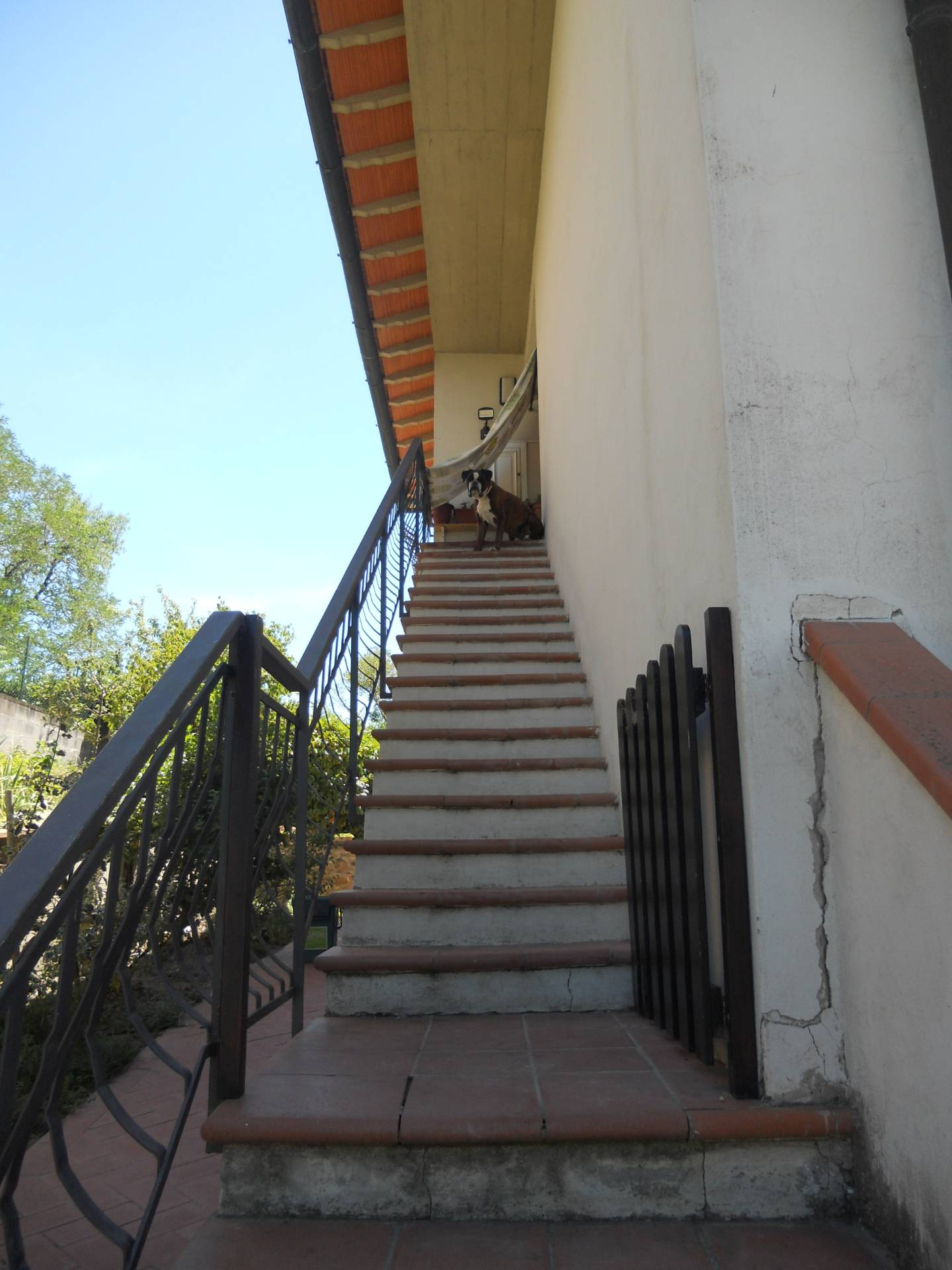 Appartamento Moderno in affitto a Montespertoli