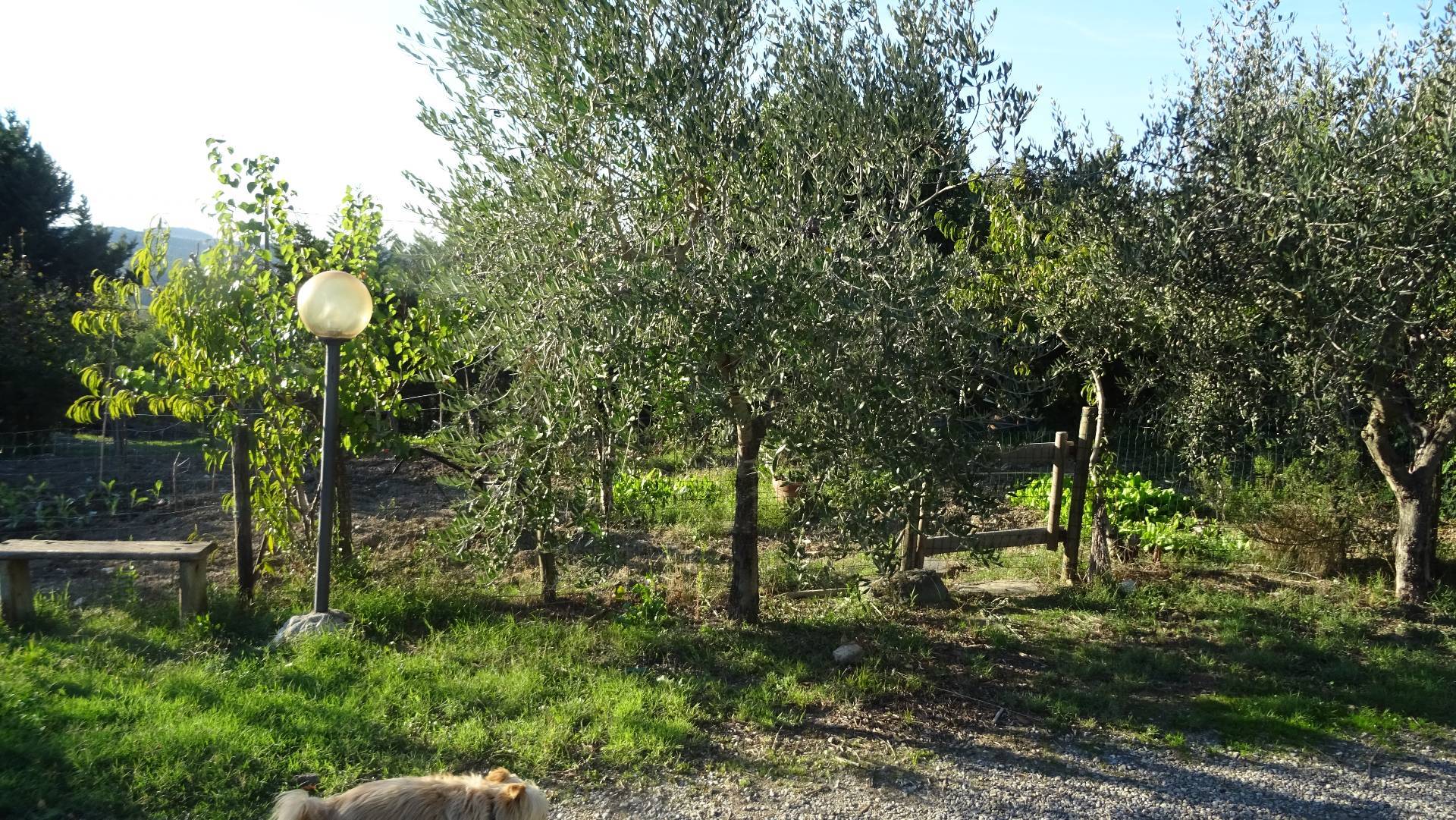Colonica in vendita a Montespertoli