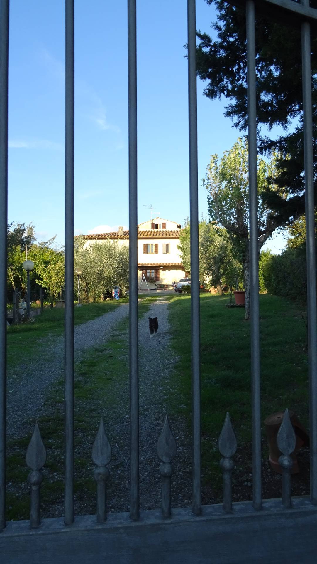 Colonica in vendita a Montespertoli