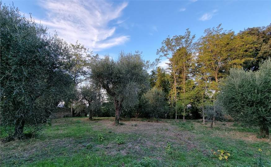 Terratetto Moderno in vendita a Montespertoli