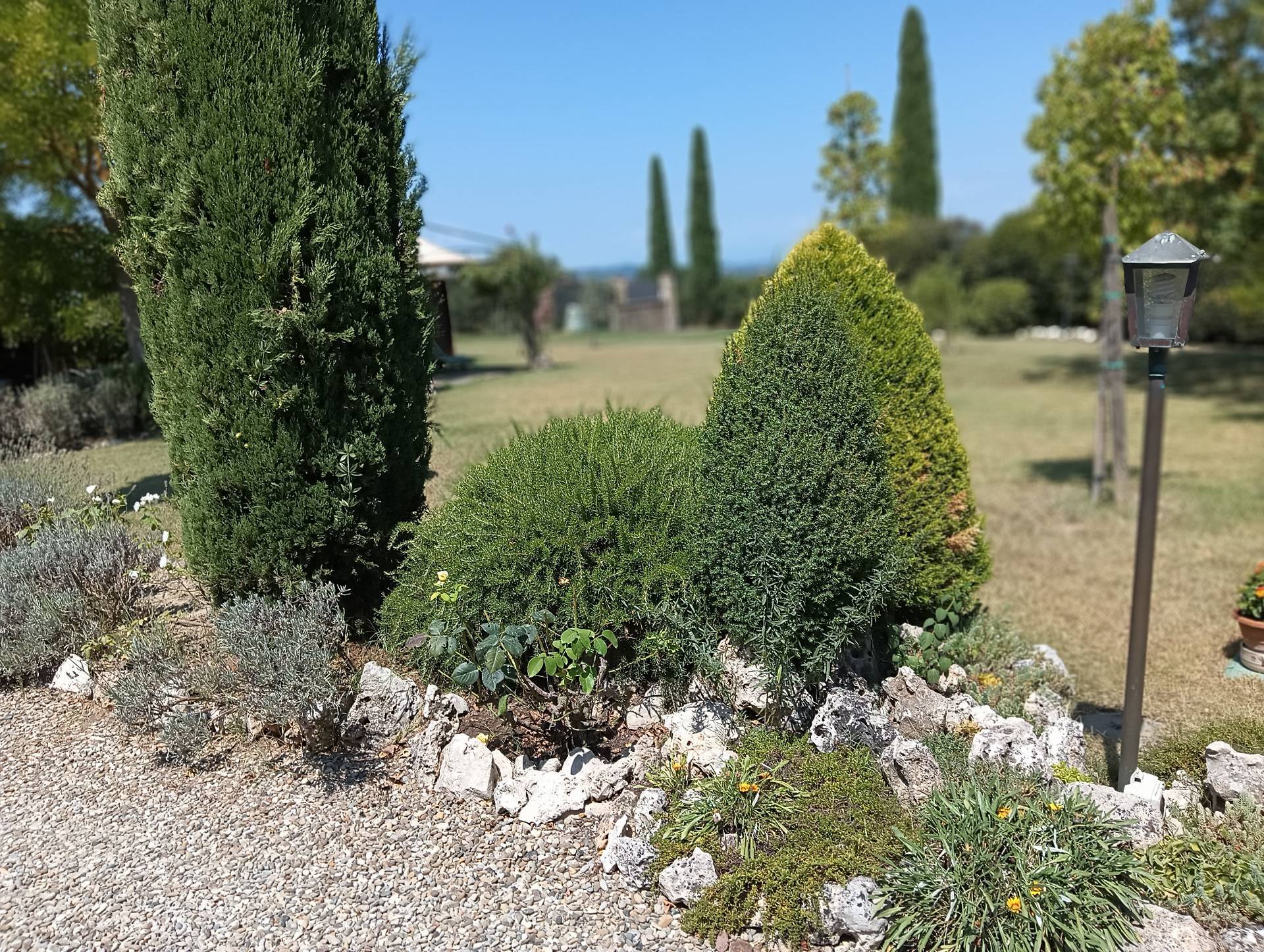 Terratetto Colonico in vendita a Castelfiorentino
