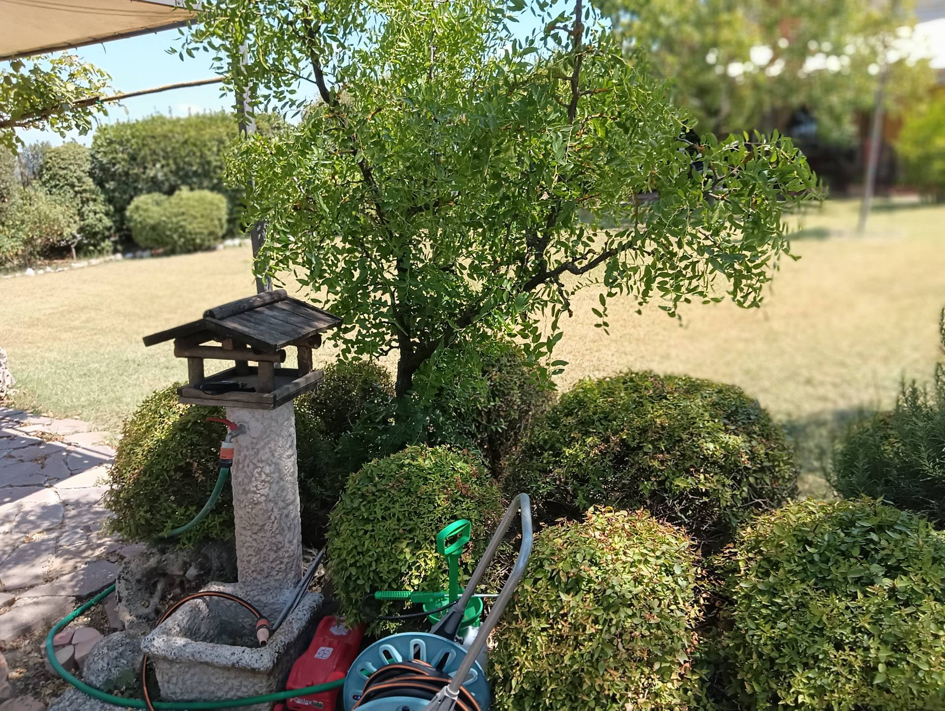 Terratetto Colonico in vendita a Castelfiorentino