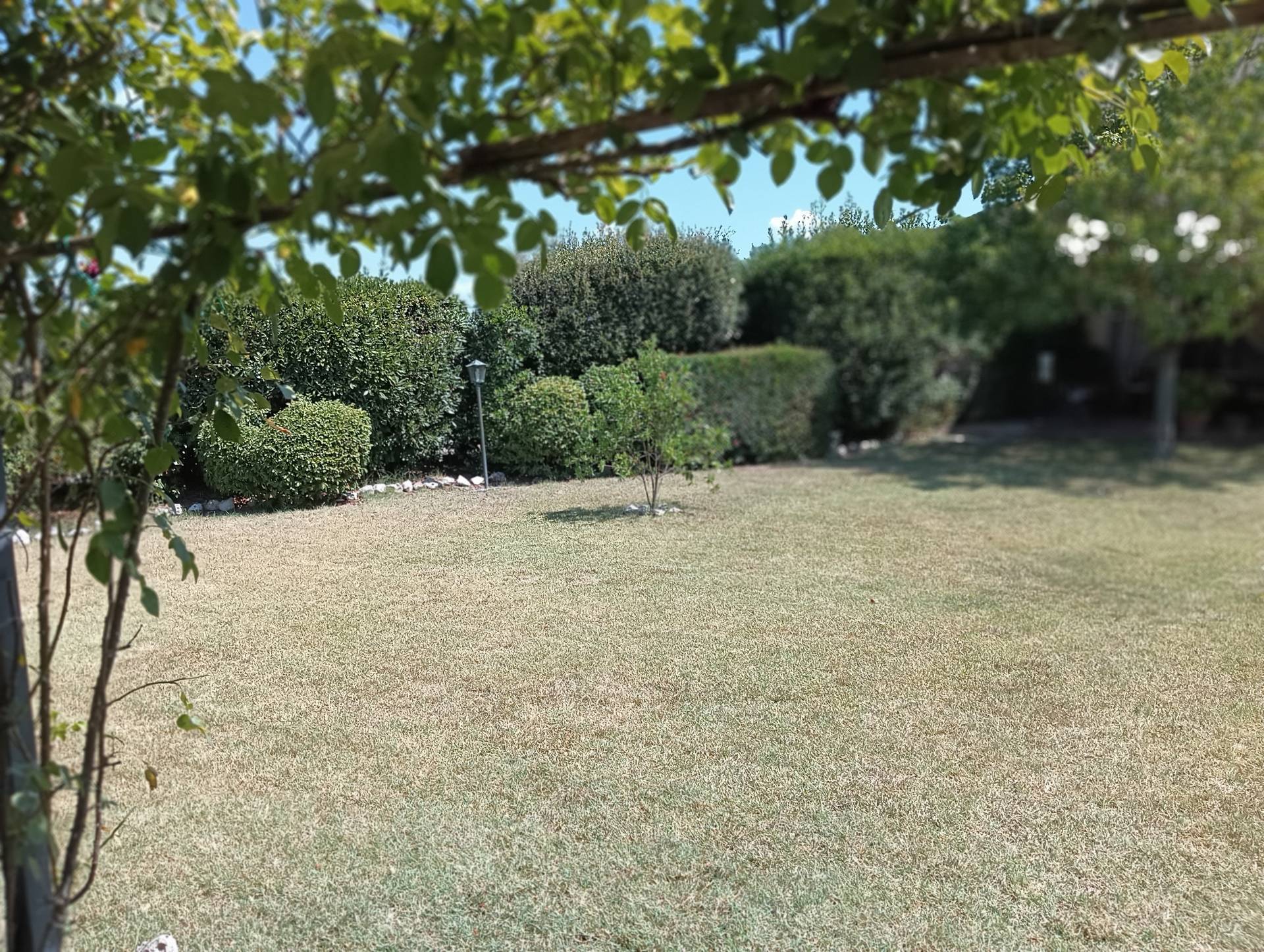 Terratetto Colonico in vendita a Castelfiorentino