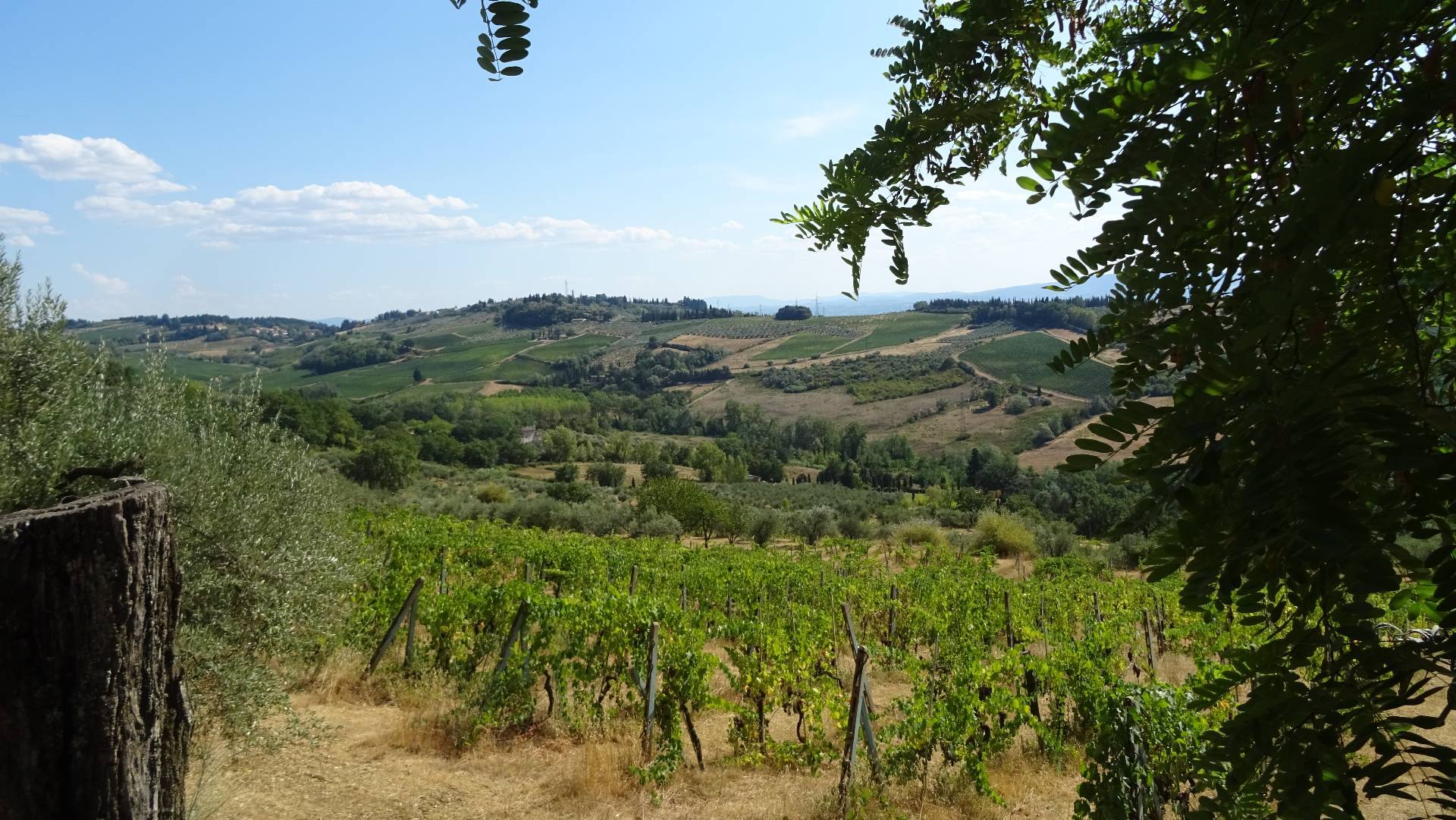 Colonica in vendita a Montespertoli