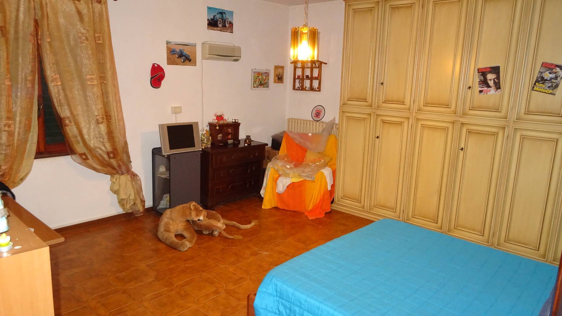 immagine annuncio 5 di 7