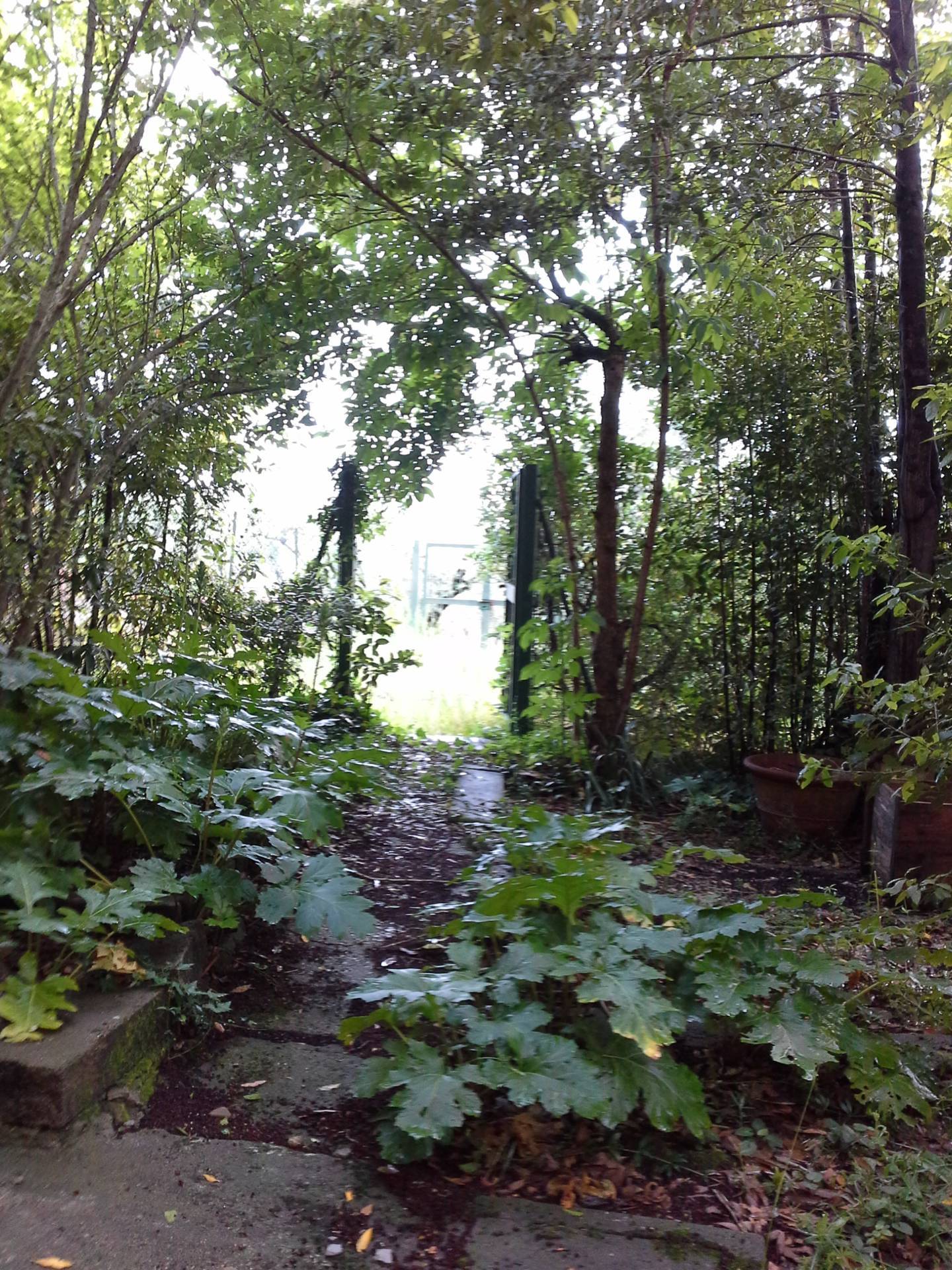 Terratetto Colonico in vendita a Montespertoli