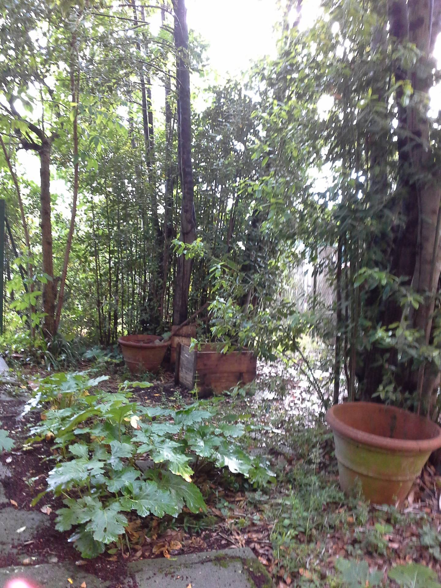 Terratetto Colonico in vendita a Montespertoli