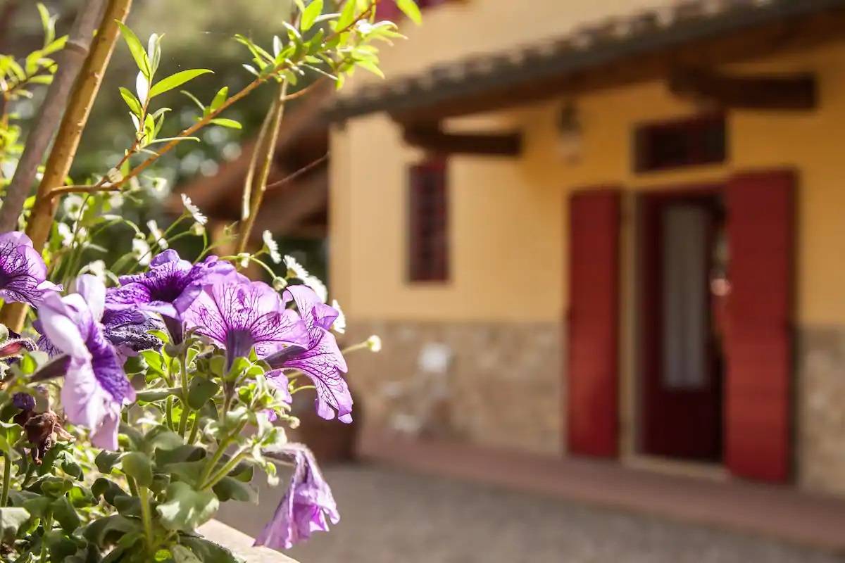 Villa in vendita a Montespertoli