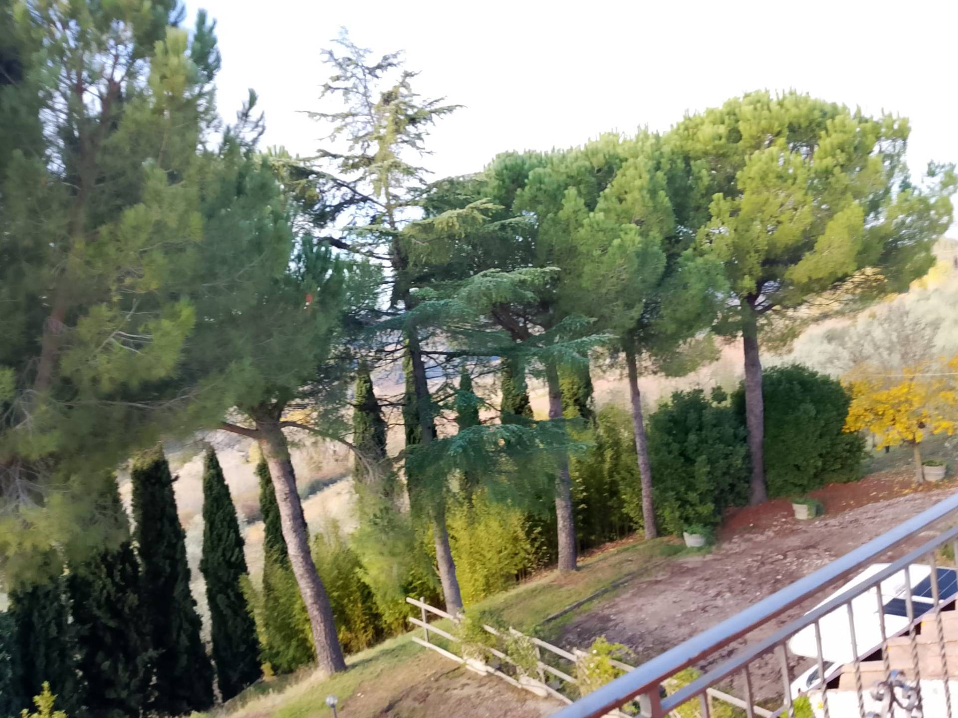 Terratetto Colonico in vendita a Montespertoli