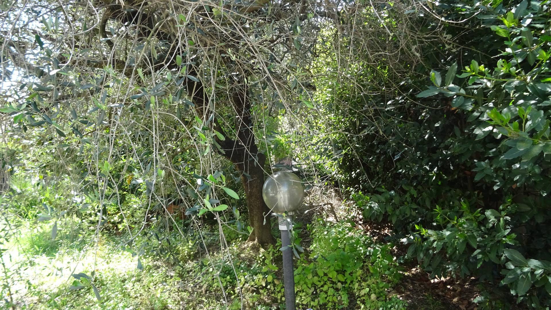 Appartamento in Villa in vendita a Montelupo Fiorentino
