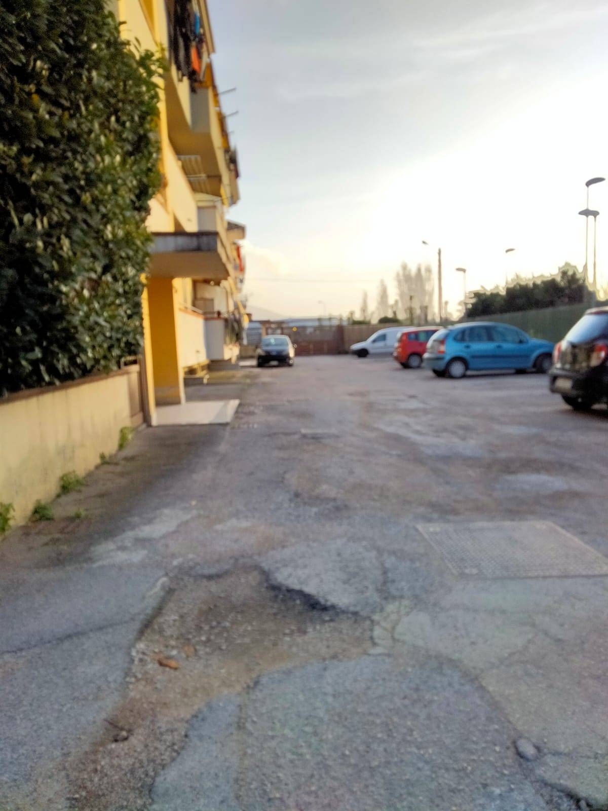 immagine annuncio 5 di 6