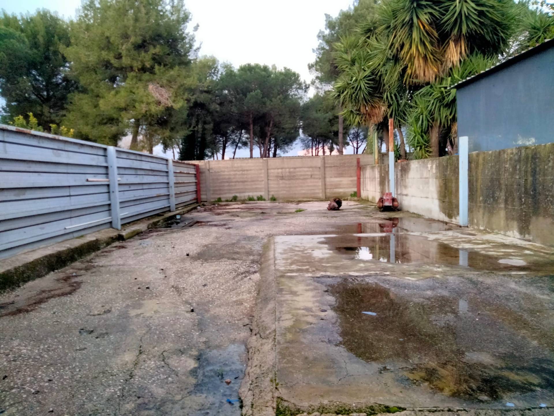 Terreno in vendita a Castello di Cisterna