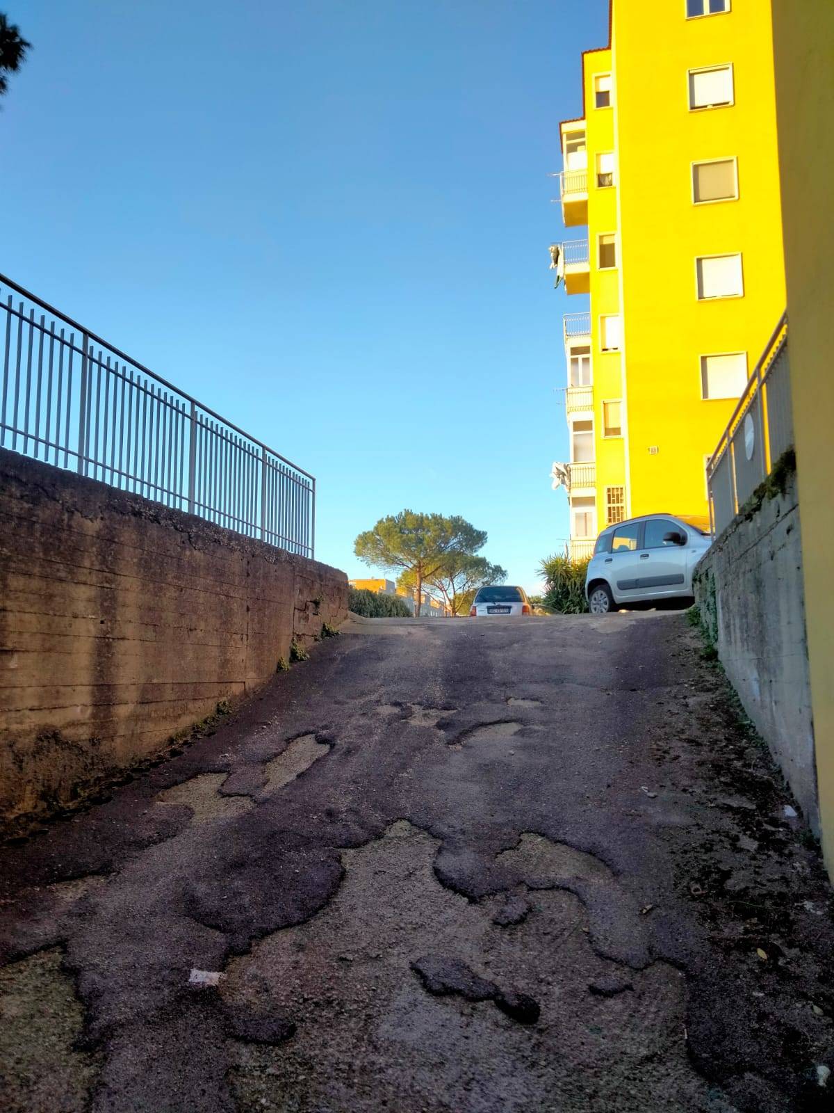 immagine annuncio 3 di 4