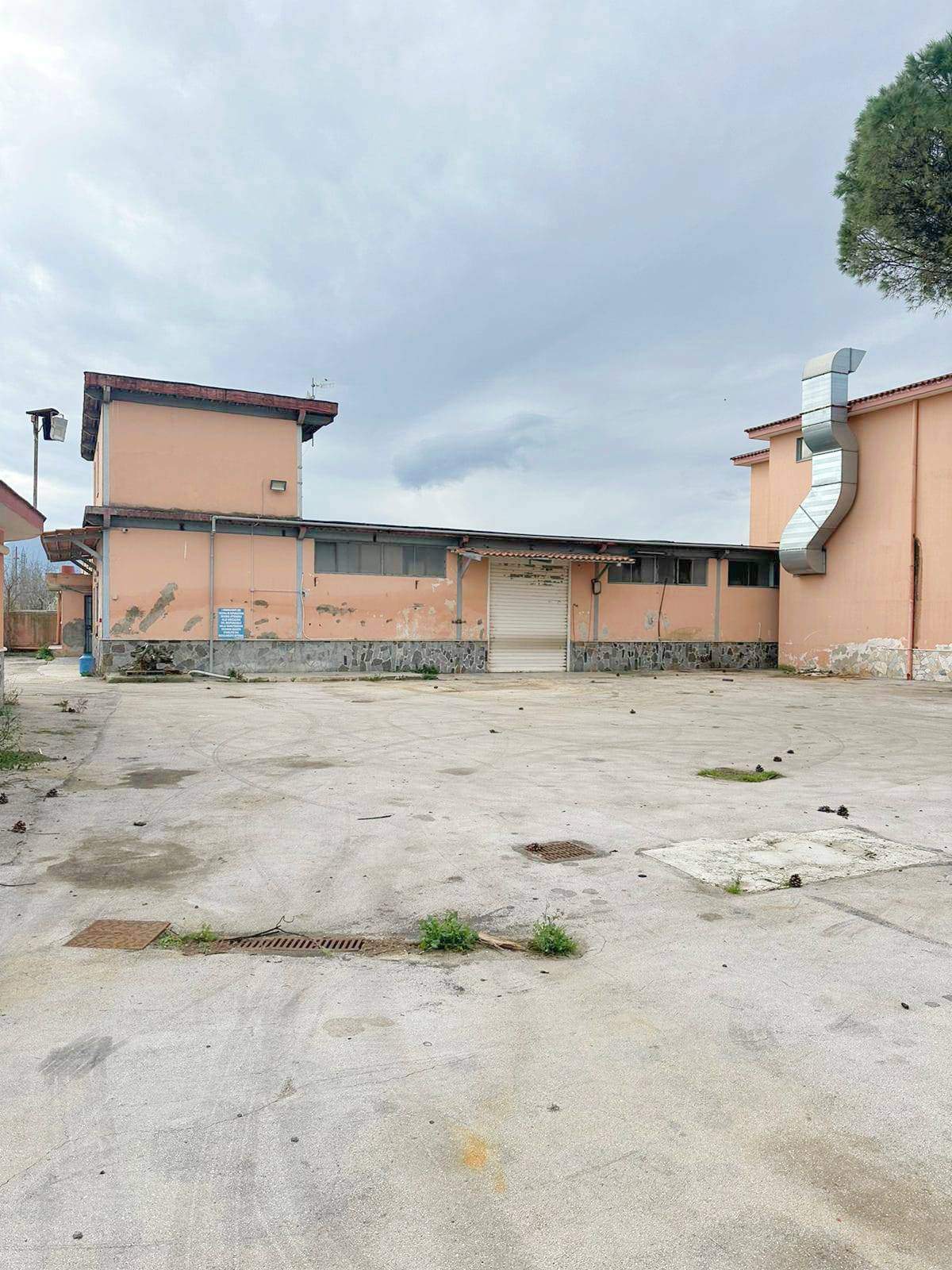 immagine annuncio 1 di 6