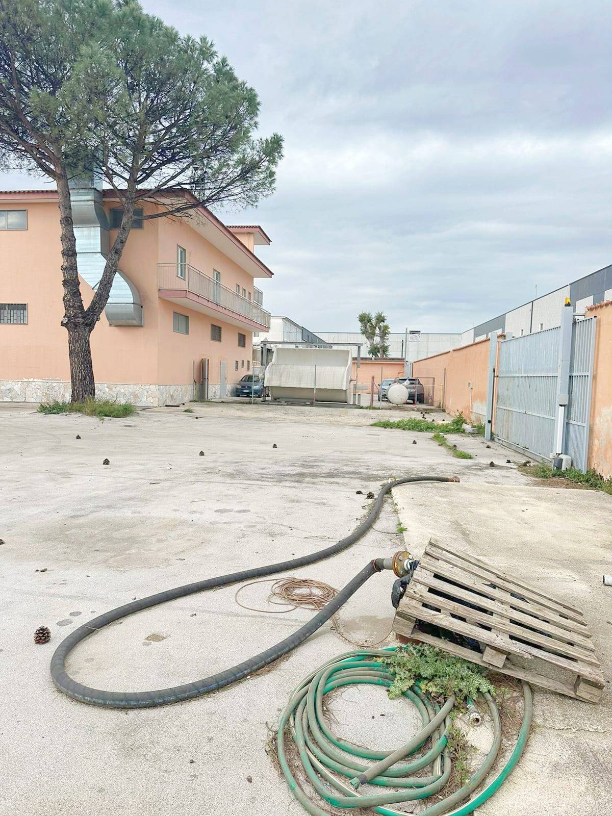 immagine annuncio 5 di 6