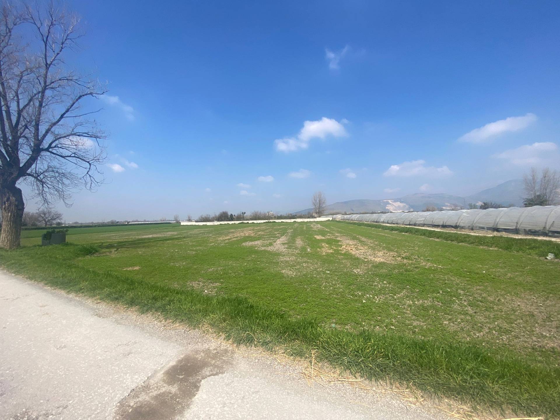 Rustico in vendita a Marigliano