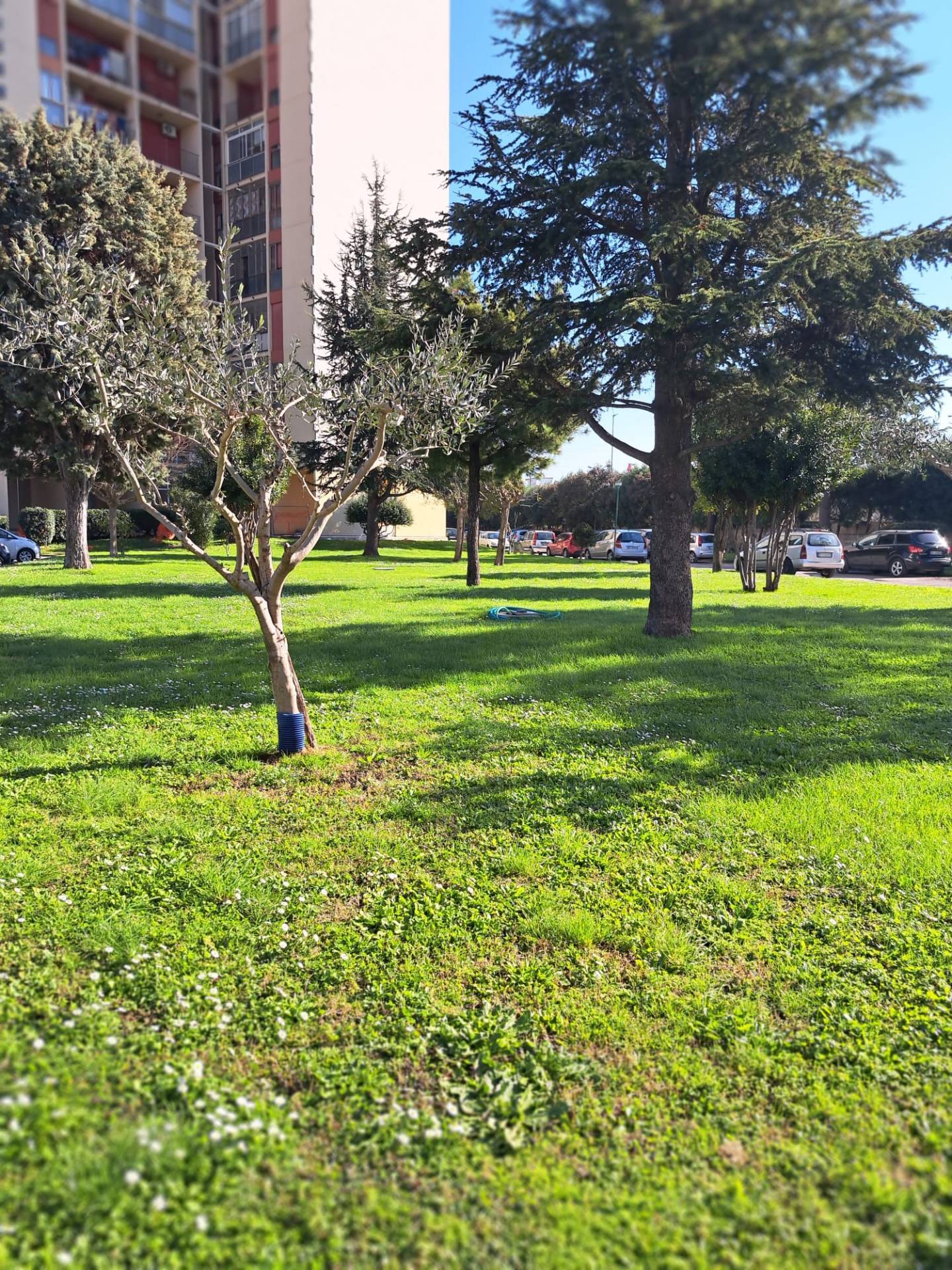 Appartamento in vendita a Marigliano