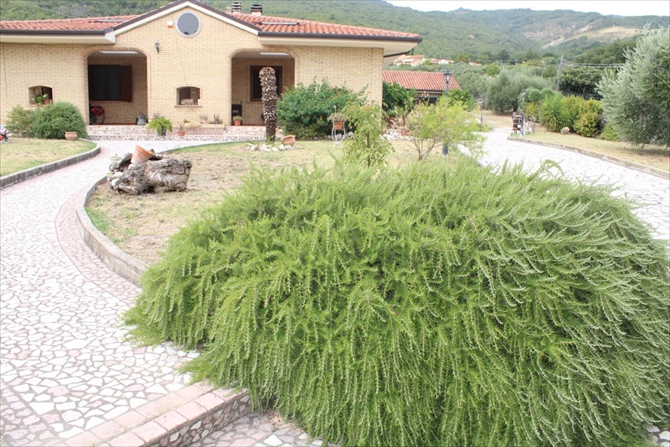 Casa indipendente con giardino in contrada madonna della croce 9, Castiglione a Casauria