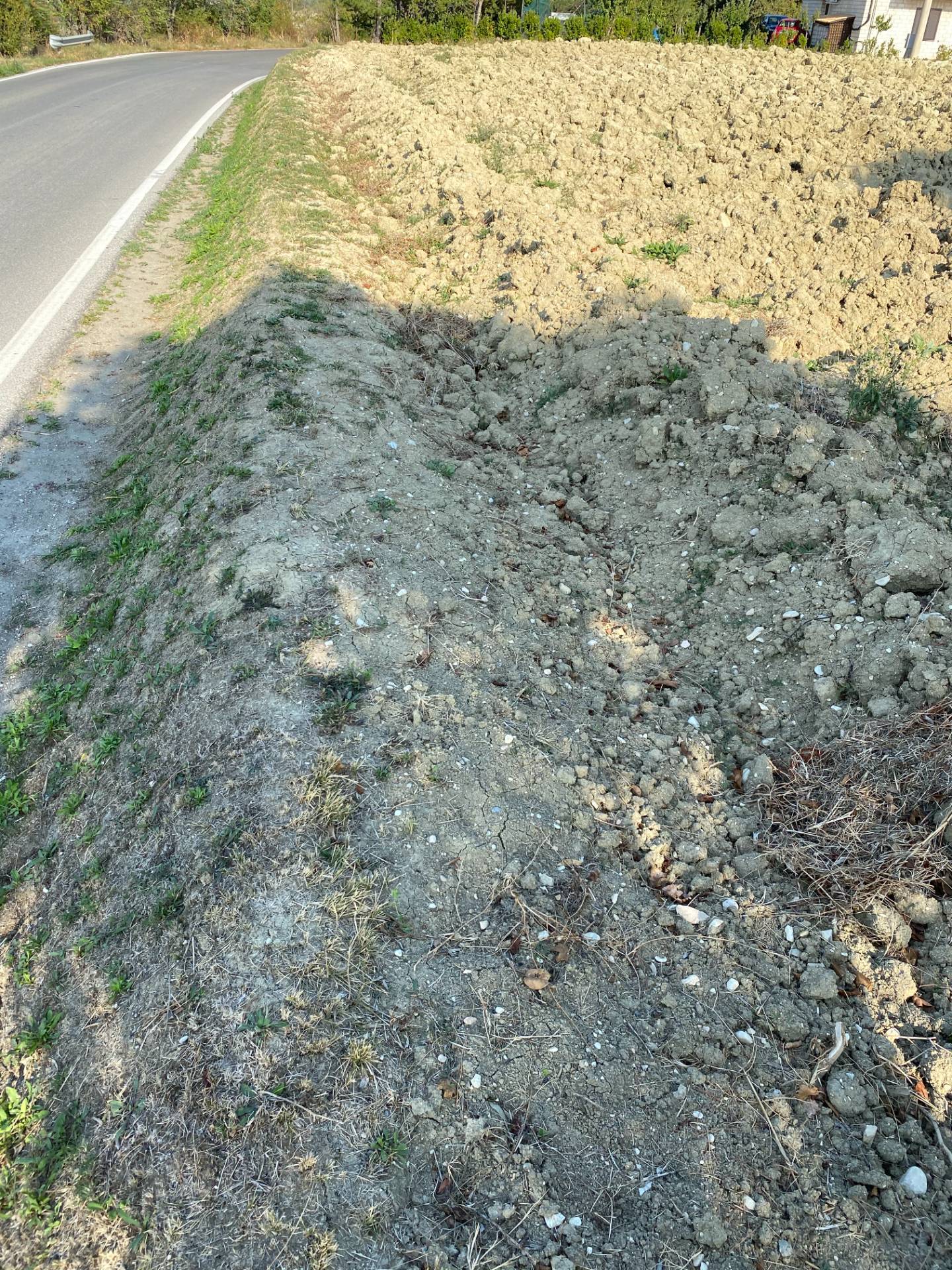 Terreno Agricolo in vendita a Falerone