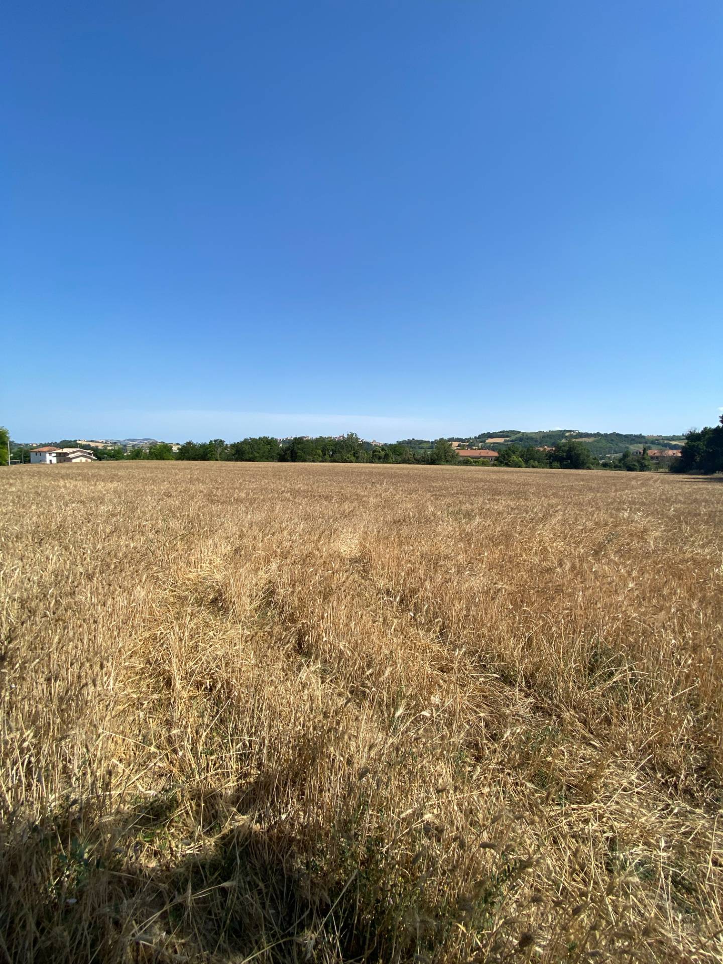 Terreno edificabile in vendita a Magliano di Tenna