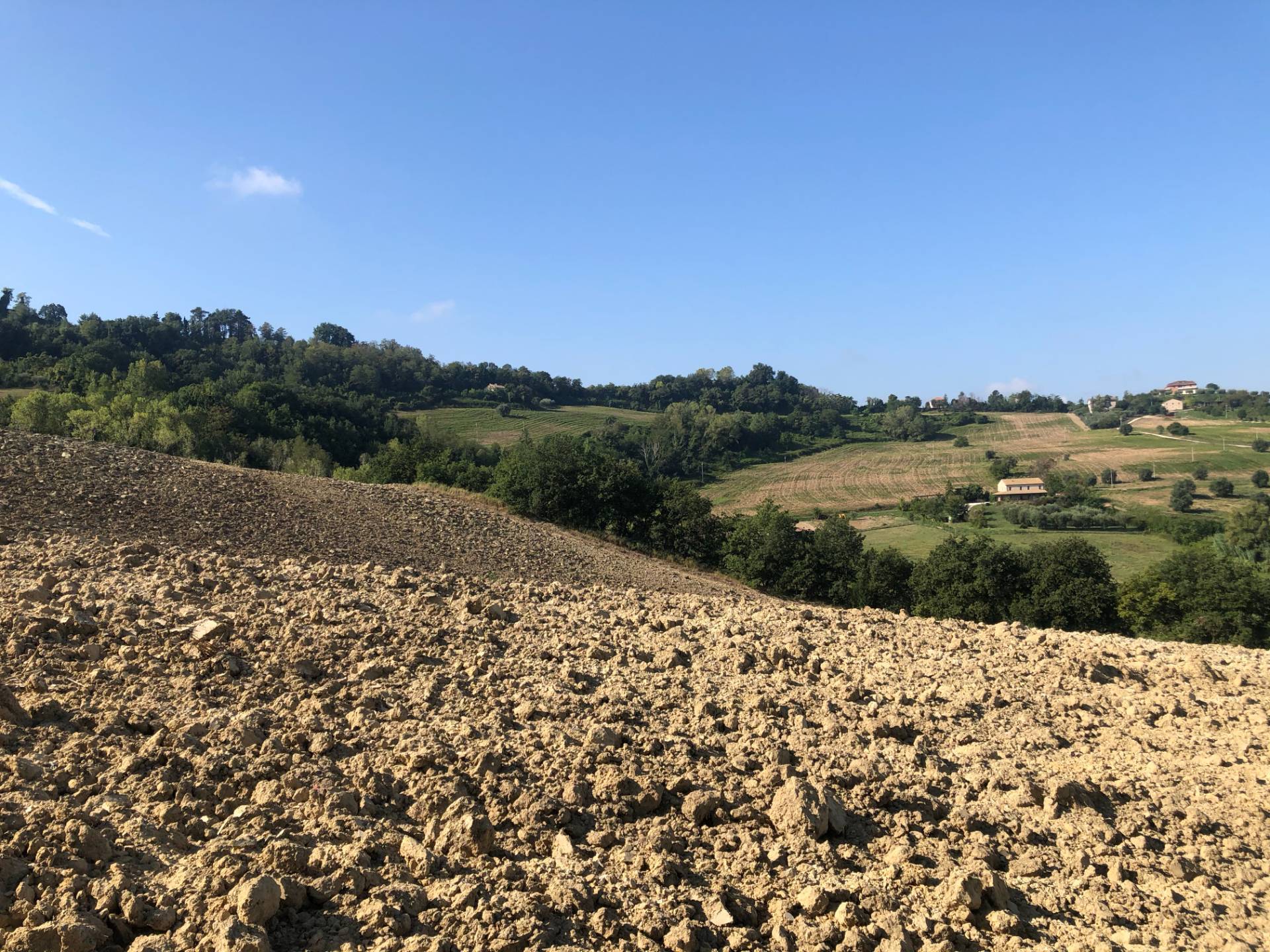 Terreno Agricolo in vendita a Montelparo