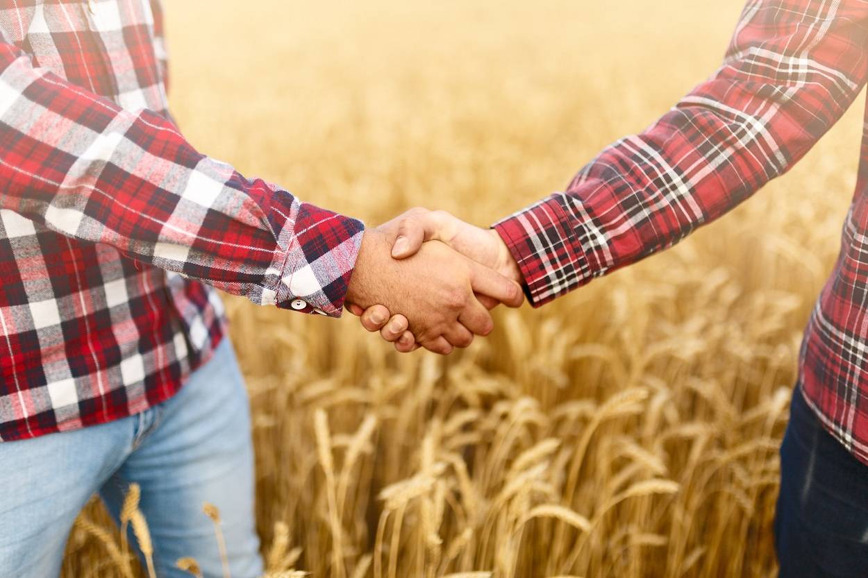 Terreno Agricolo in vendita a Massa Fermana