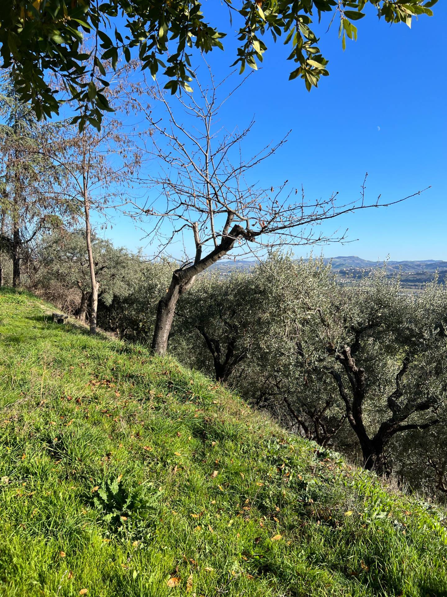 CASA in vendita a Montegiorgio