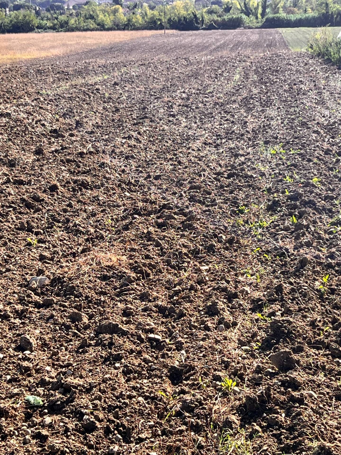 Terreno Agricolo in vendita a Magliano di Tenna