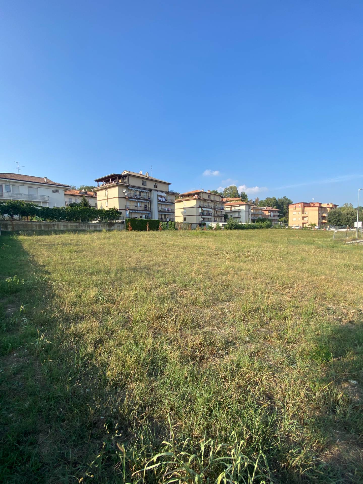 immagine annuncio 4 di 6